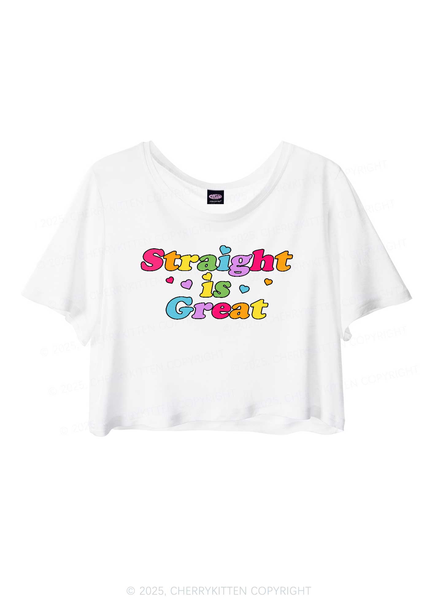 Straight Is Great Pride Y2K Sheer Crop Tee Cherrykitten
