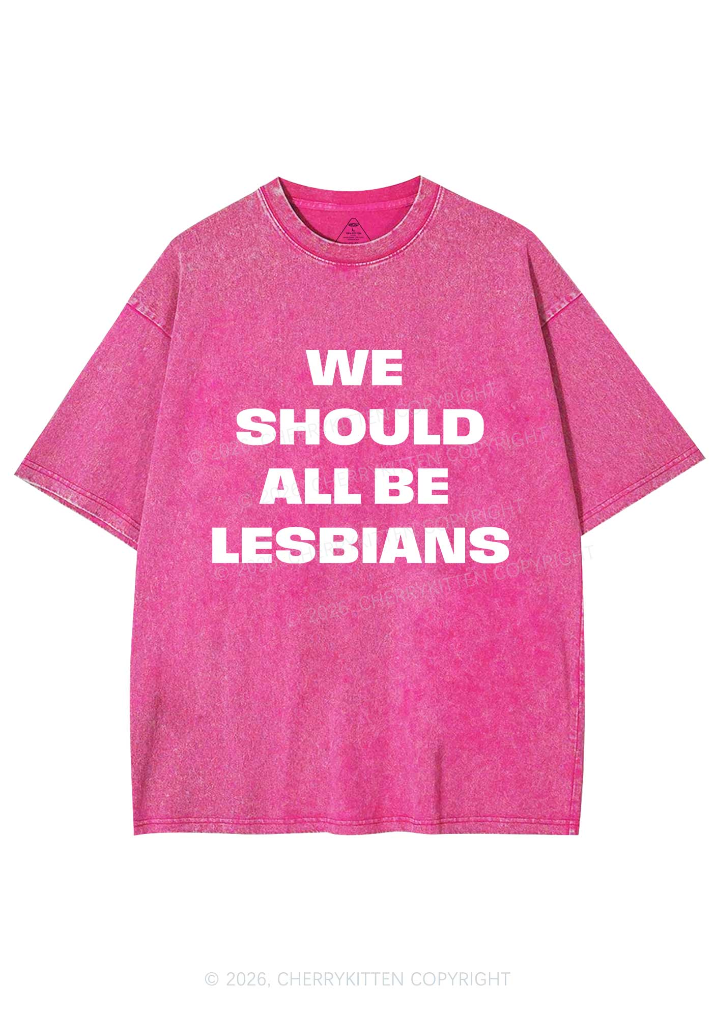 We Should All Be Lesbians Pride Y2K Shirts Washed Tee Cherrykitten
