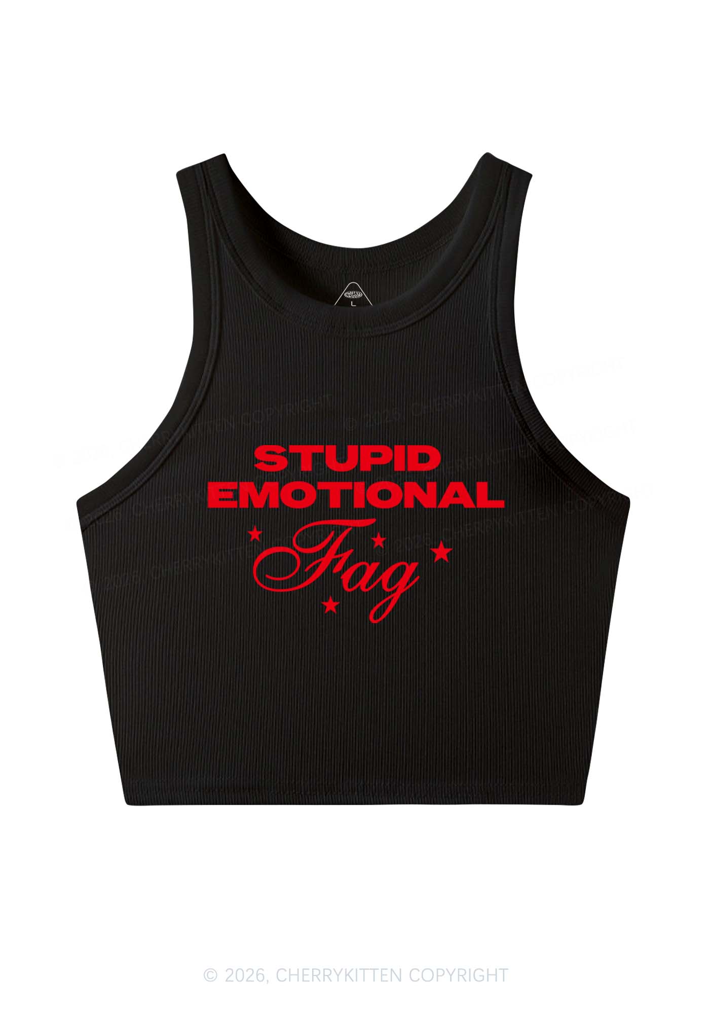 Stupid Emotional Fag Pride Y2K Crop Tank Top Cherrykitten