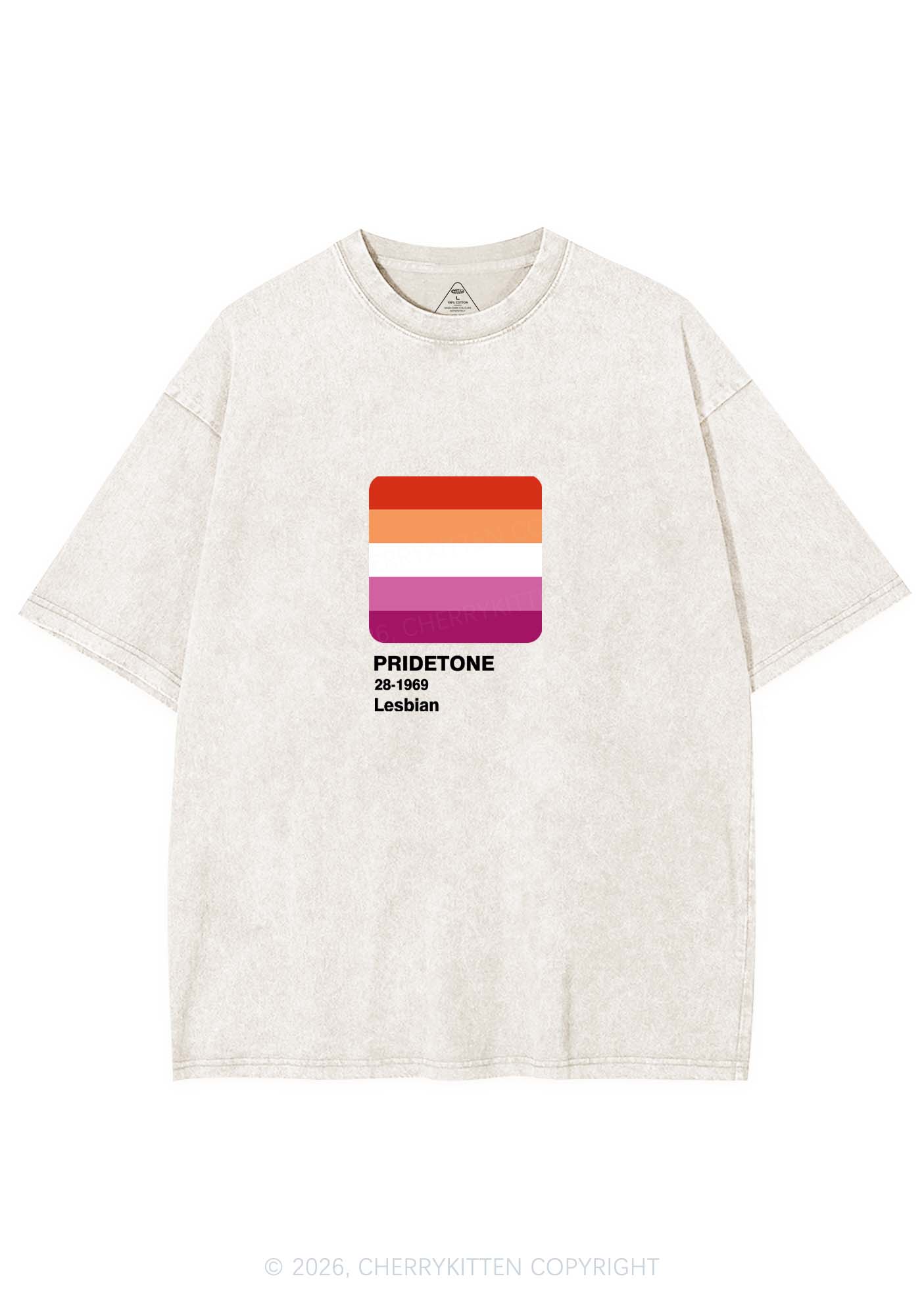 Pridetone Lesbian Pride Y2K Shirts Washed Tee Cherrykitten
