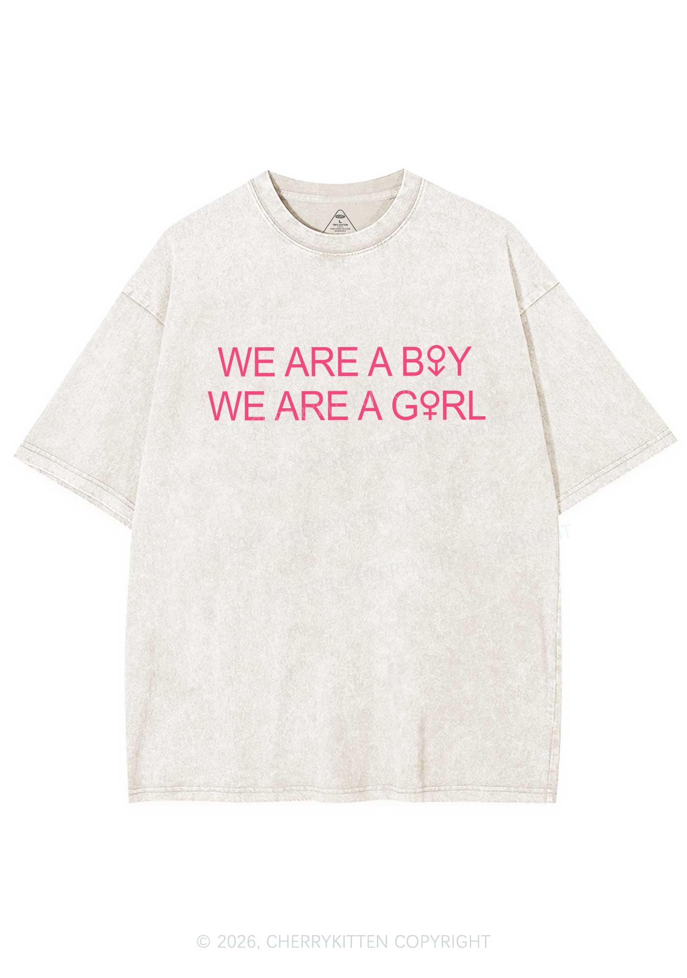 We Are A Boy Pride Y2K Shirts Washed Tee Cherrykitten