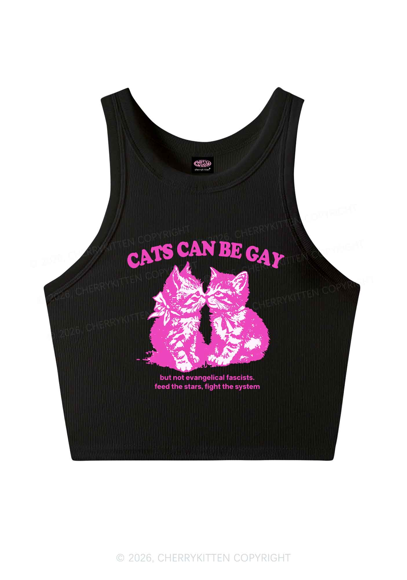 Cat Can Be Gay Pride Y2K Crop Tank Top Cherrykitten