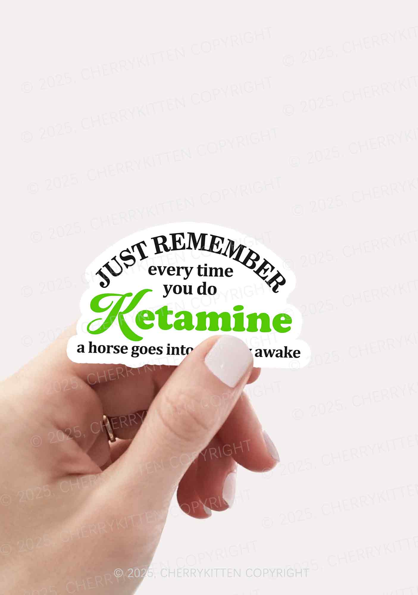 Just Remember K Horse 1Pc Y2K Sticker Cherrykitten