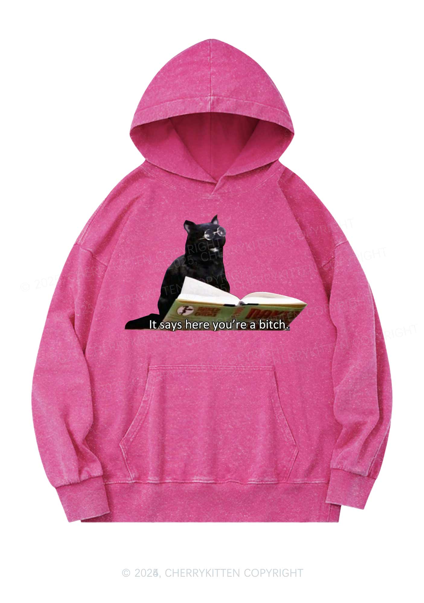 It Says Here Youre A Bixxh Y2K Washed Hoodie Cherrykitten
