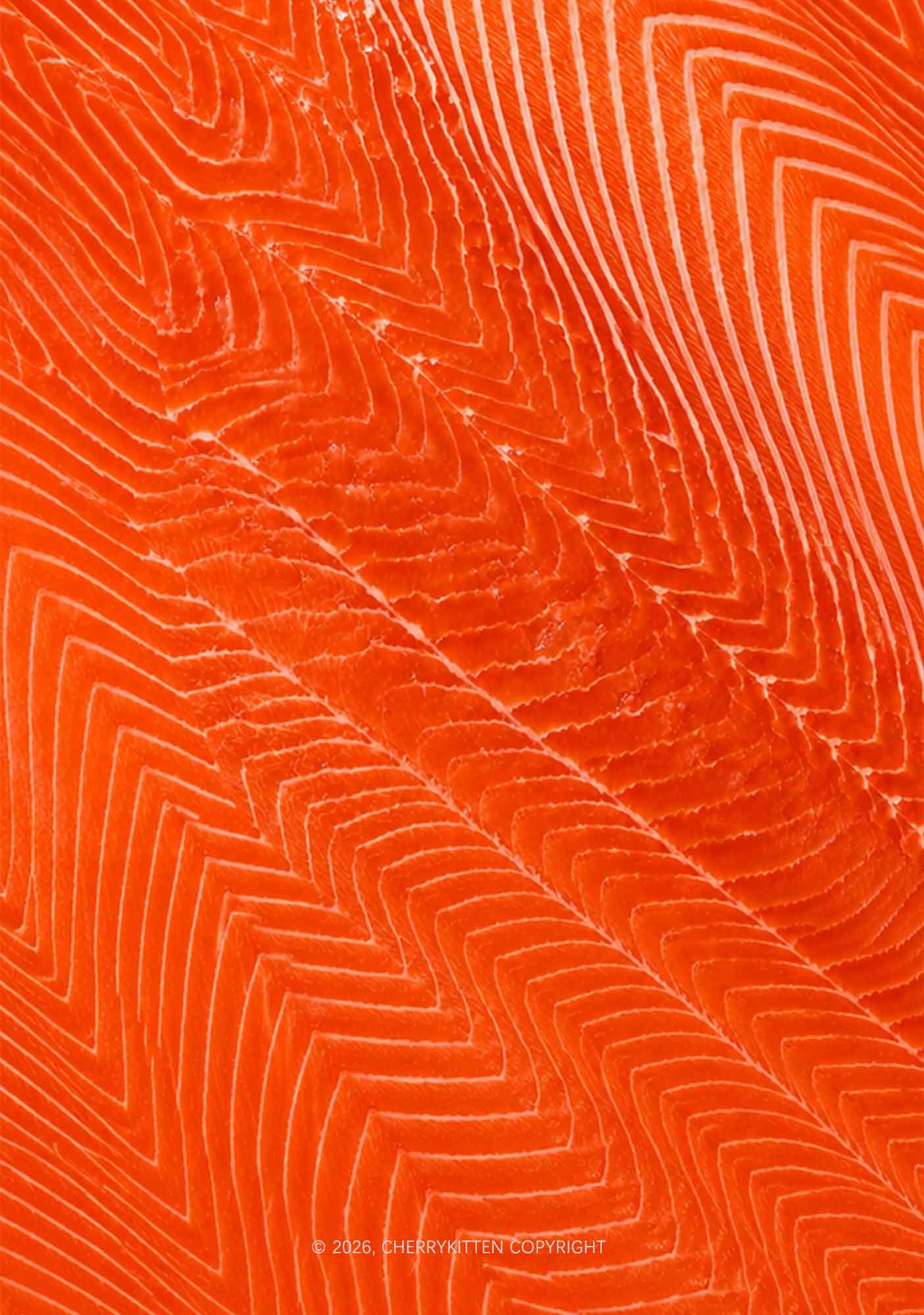 Salmon Meat Texture Y2K Phone Case Cherrykitten