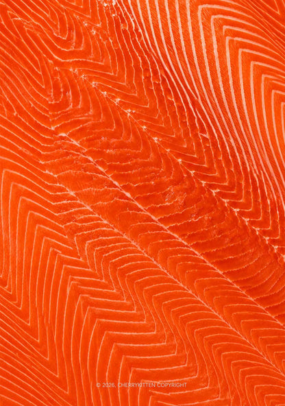 Salmon Meat Texture Y2K Phone Case Cherrykitten