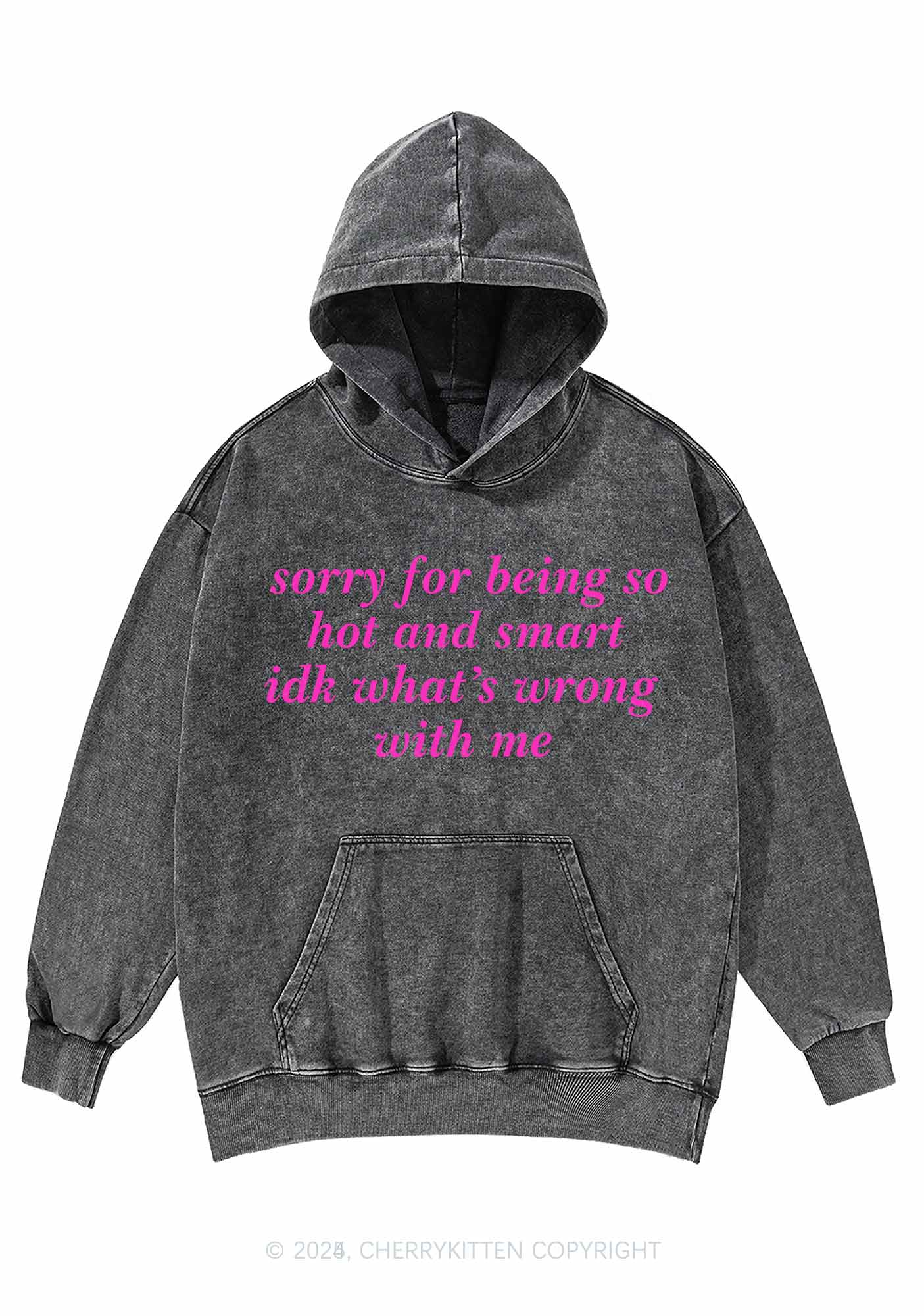 Sorry For Being So Smart Y2K Washed Hoodie Cherrykitten