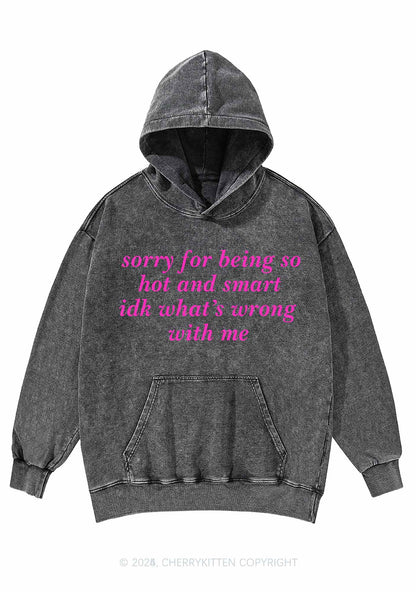 Sorry For Being So Smart Y2K Washed Hoodie Cherrykitten