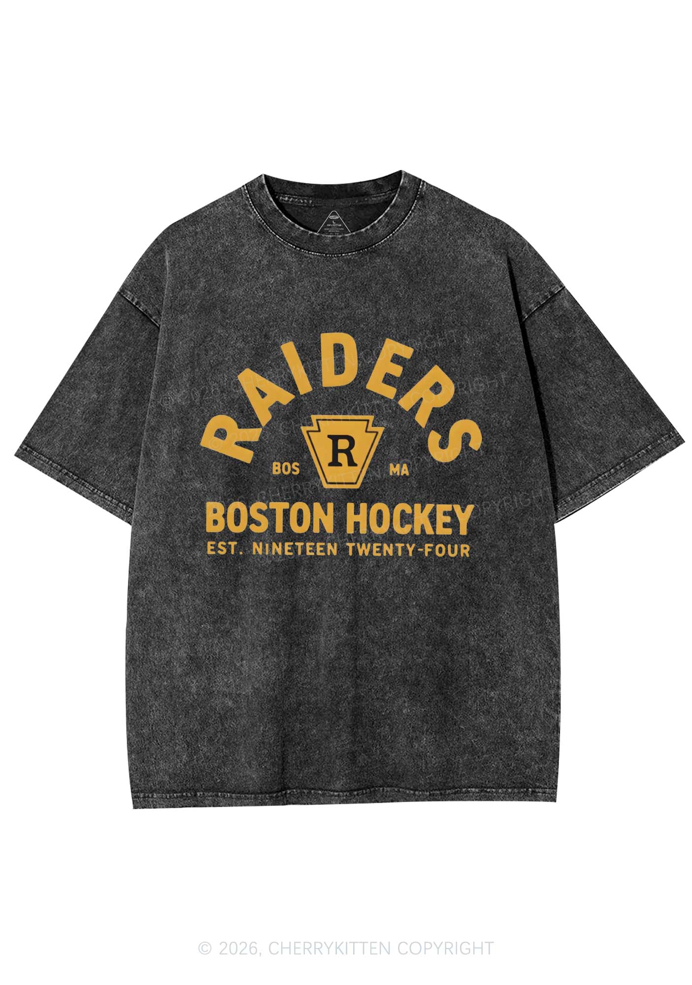 Boston Hockey HR Y2K Shirts Washed Tee Cherrykitten