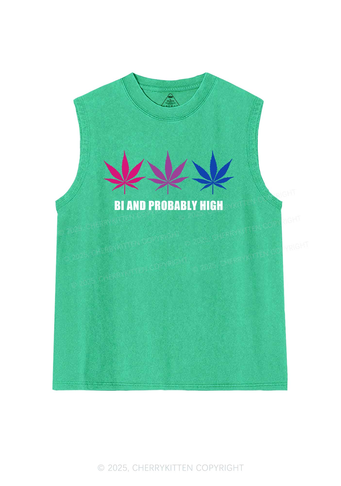Bi Probably High Pride Y2K Washed Muscle Tank Cherrykitten