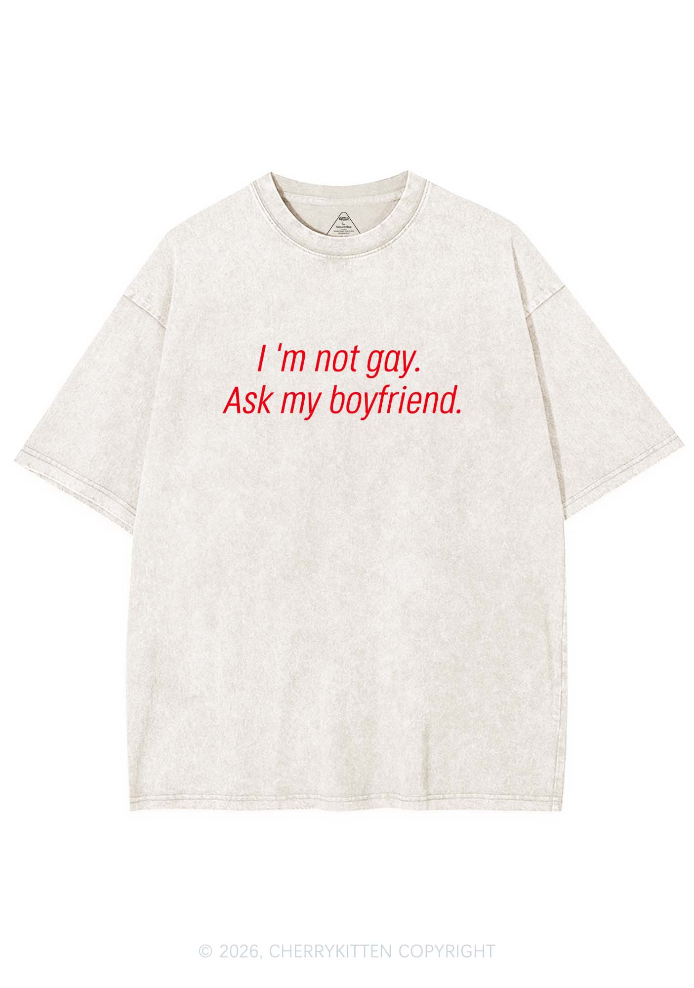Im Not Gay Pride Y2K Shirts Washed Tee Cherrykitten