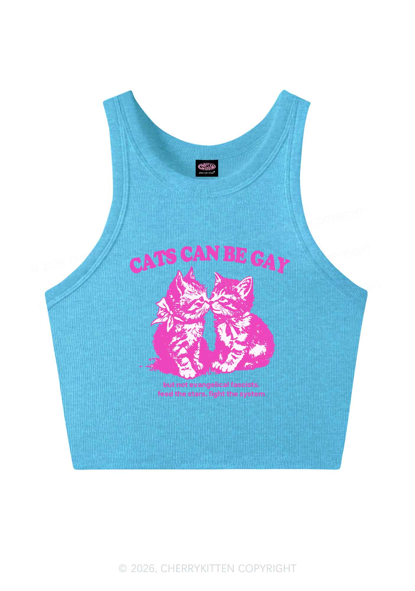 Cat Can Be Gay Pride Y2K Crop Tank Top Cherrykitten