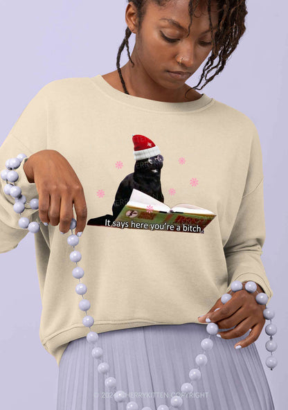 Christmas Cat Bxxch Y2K Sweatshirt Cherrykitten