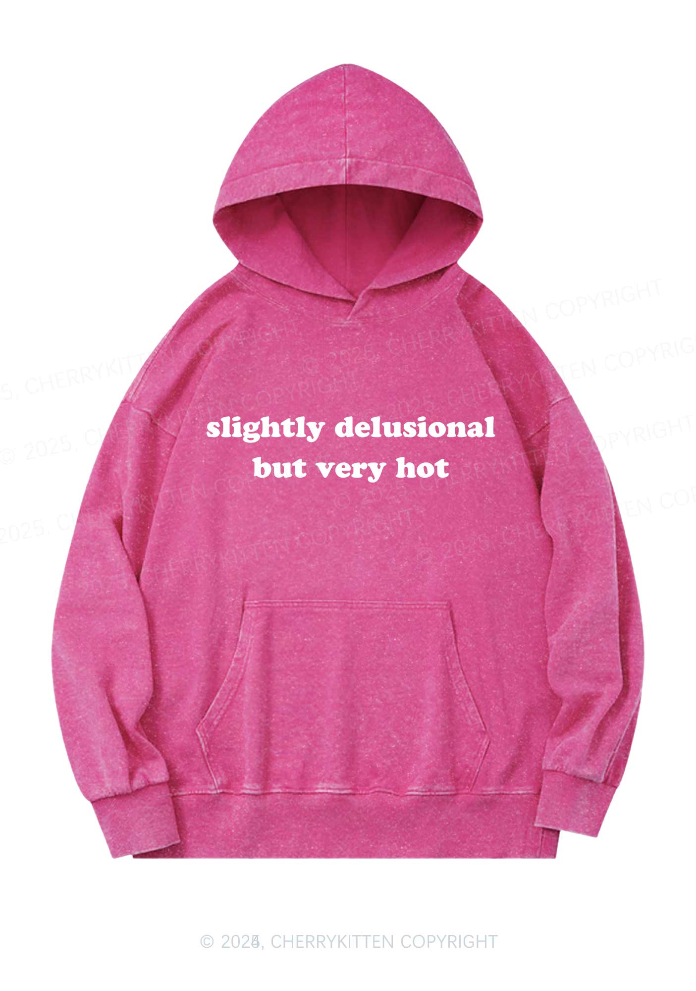 Slightly Delusional But Very Hot Y2K Washed Hoodie Cherrykitten
