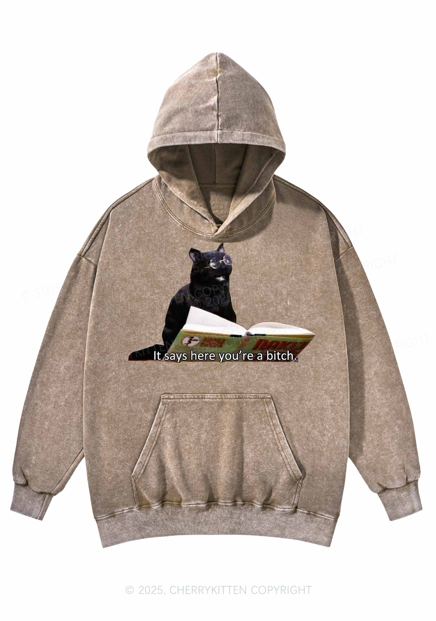 It Says Here Youre A Bixxh Y2K Washed Hoodie Cherrykitten