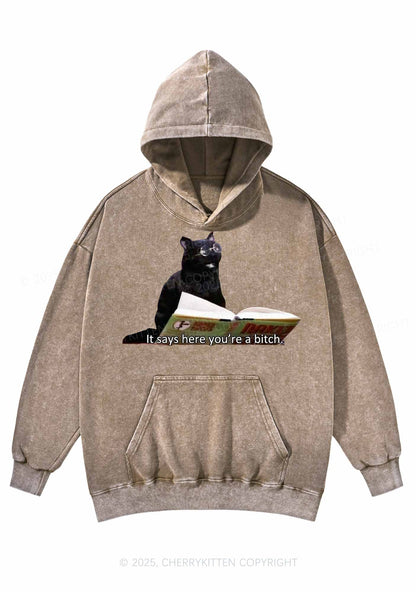 It Says Here Youre A Bixxh Y2K Washed Hoodie Cherrykitten