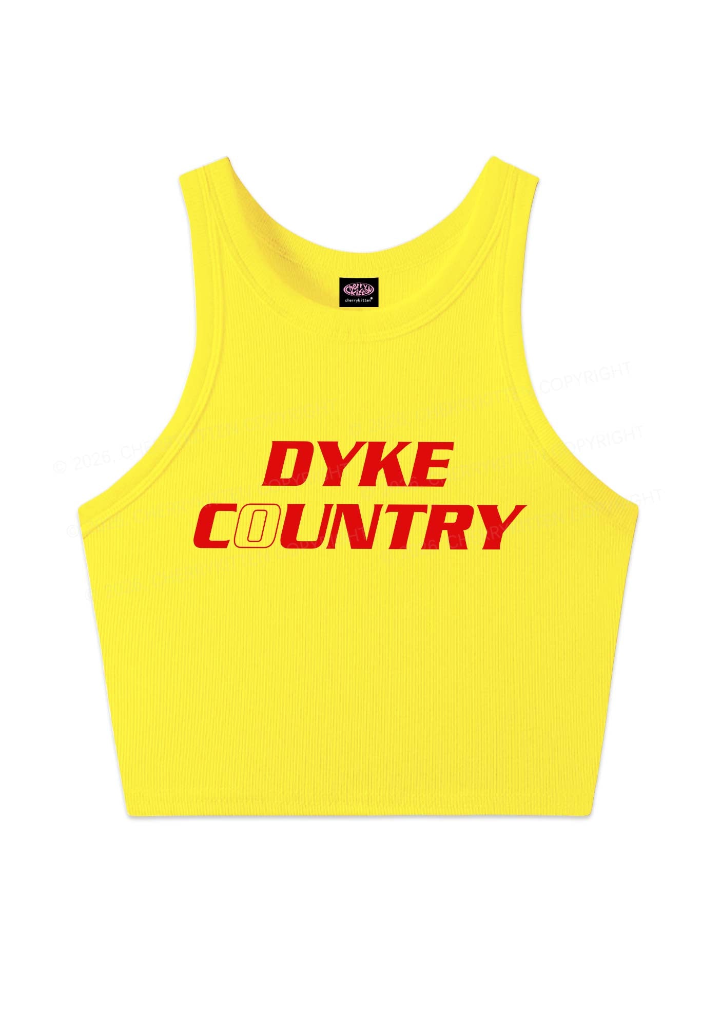 Dyke Country Pride Y2K Crop Tank Top Cherrykitten