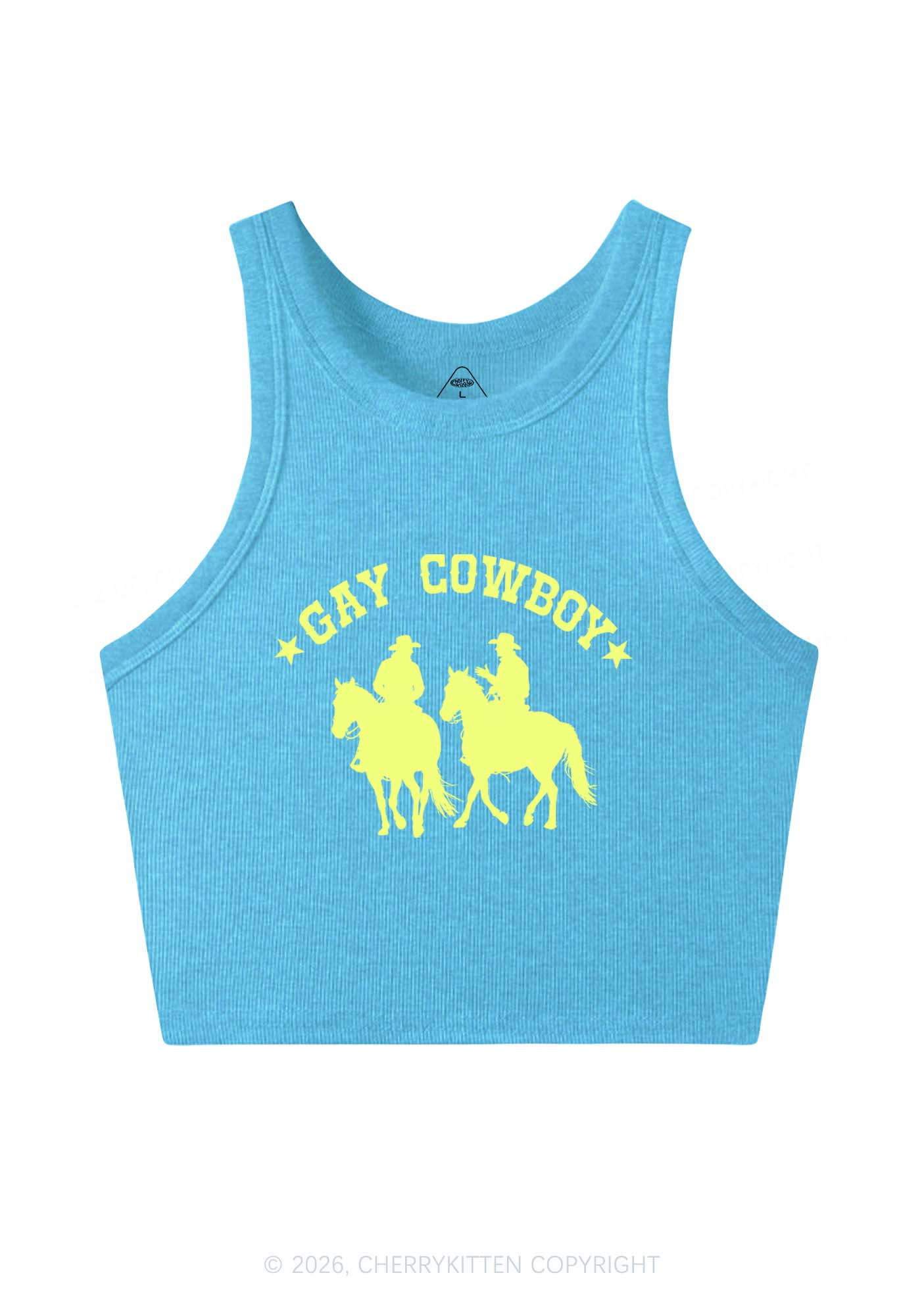 Gay Cowboy Pride Y2K Crop Tank Top Cherrykitten