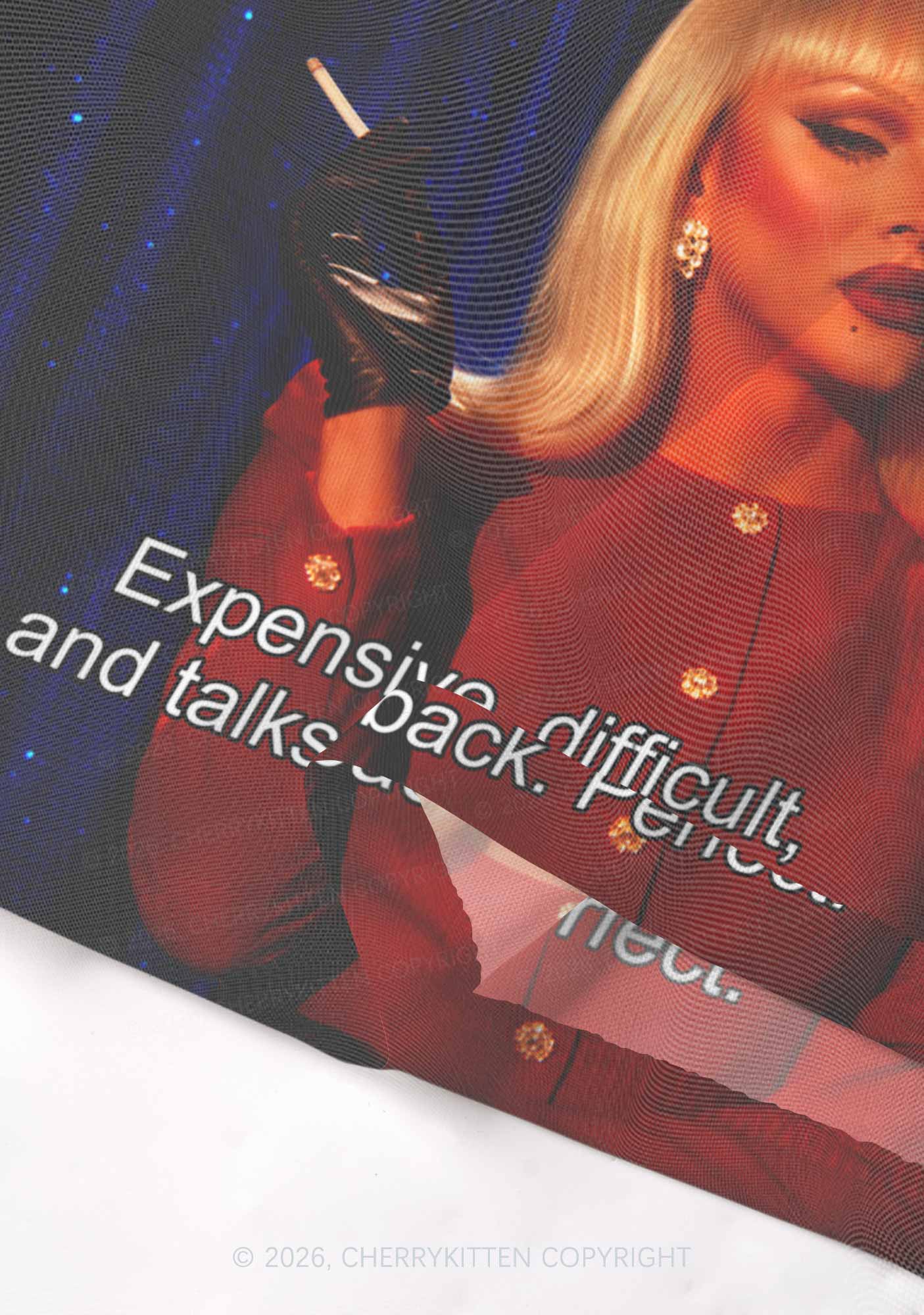 Expensive Difficult And Talks Back Y2K Mesh Crop Top Cherrykitten