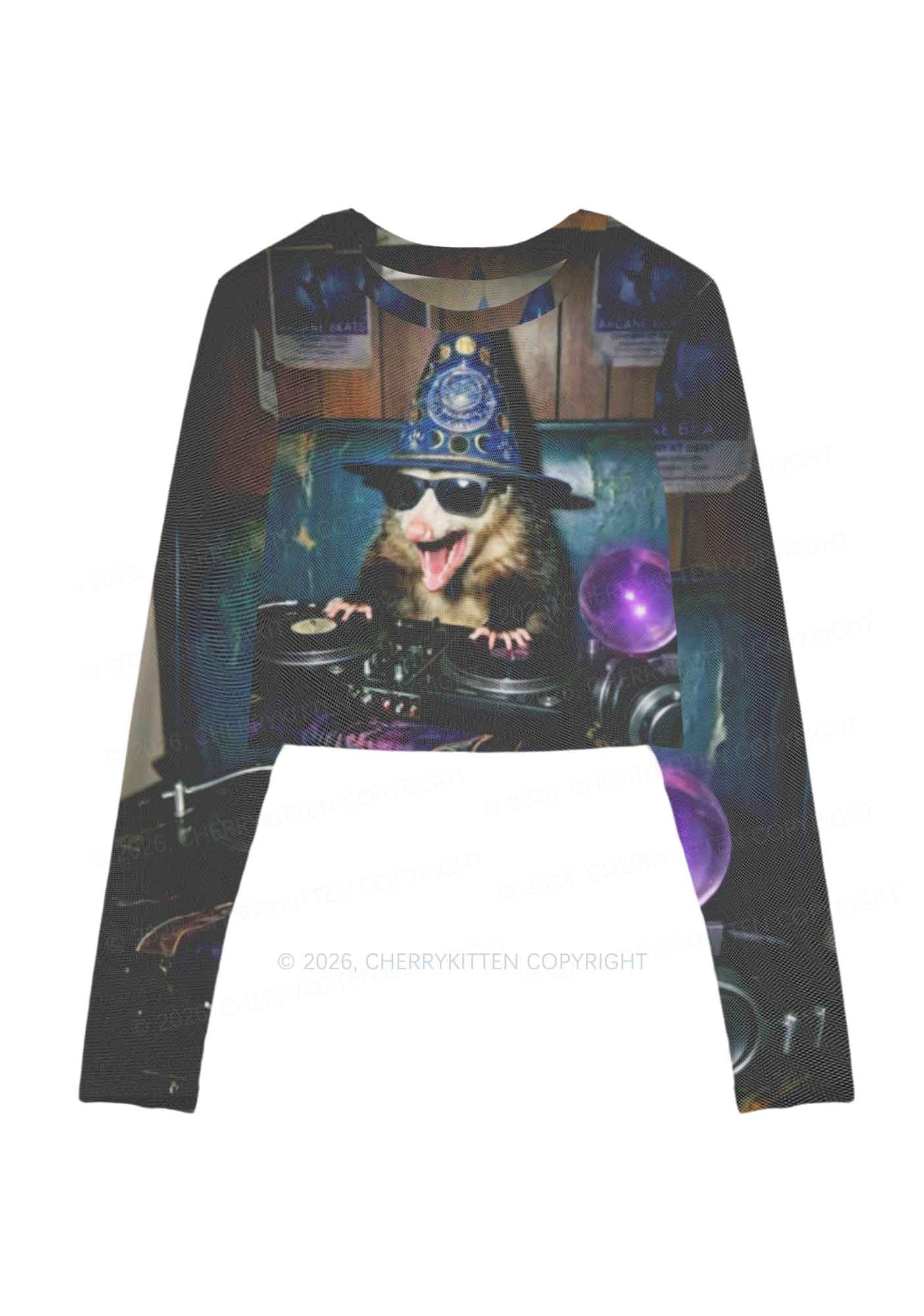 Wizard Opossum DJ Y2K Mesh Long Sleeve Crop Top Cherrykitten