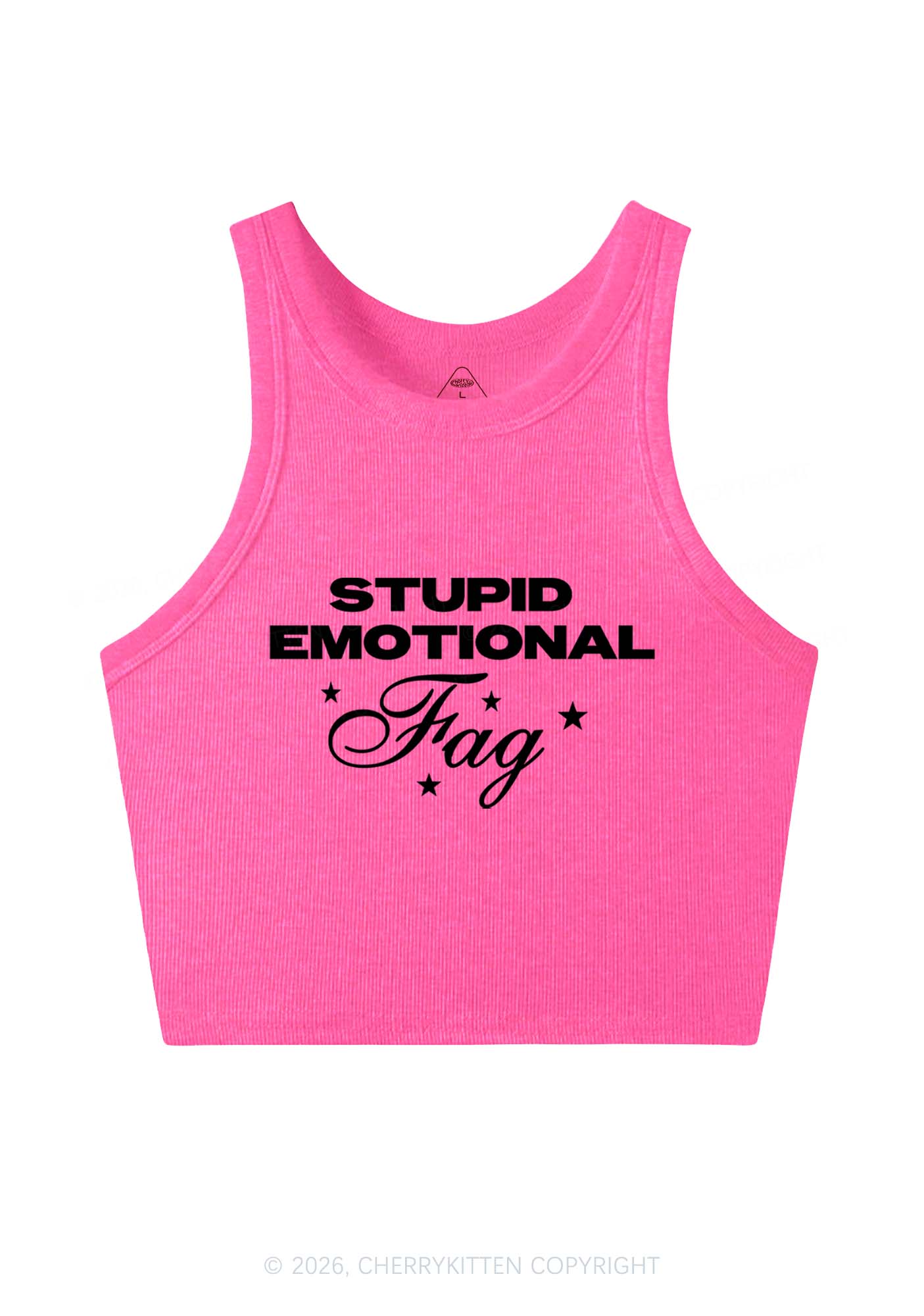 Stupid Emotional Fag Pride Y2K Crop Tank Top Cherrykitten