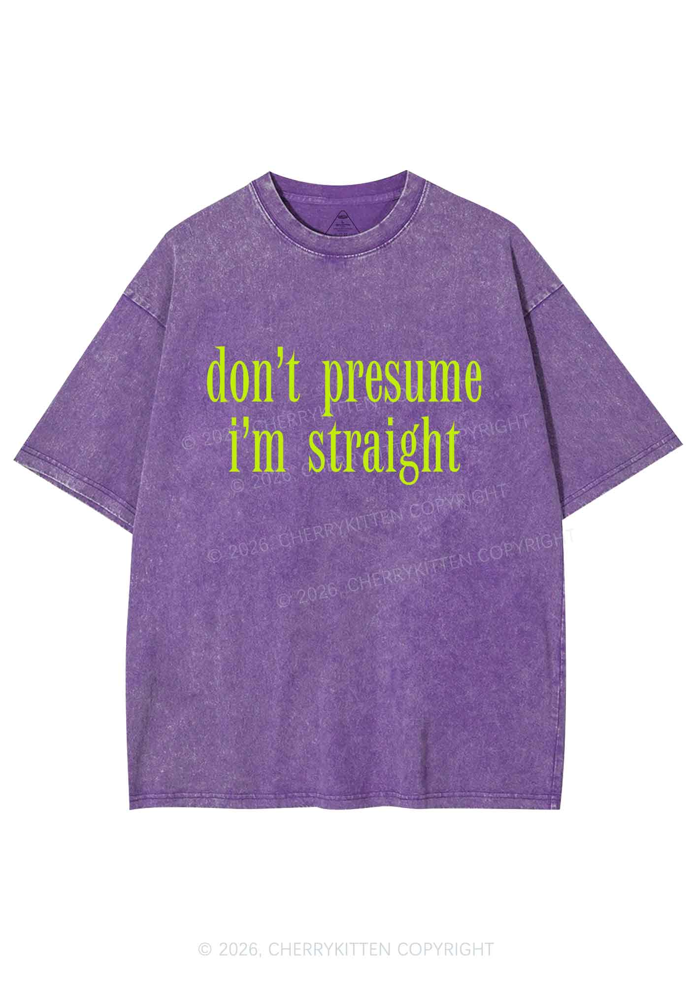 Dont Presume Im Straight Pride Y2K Shirts Washed Tee Cherrykitten