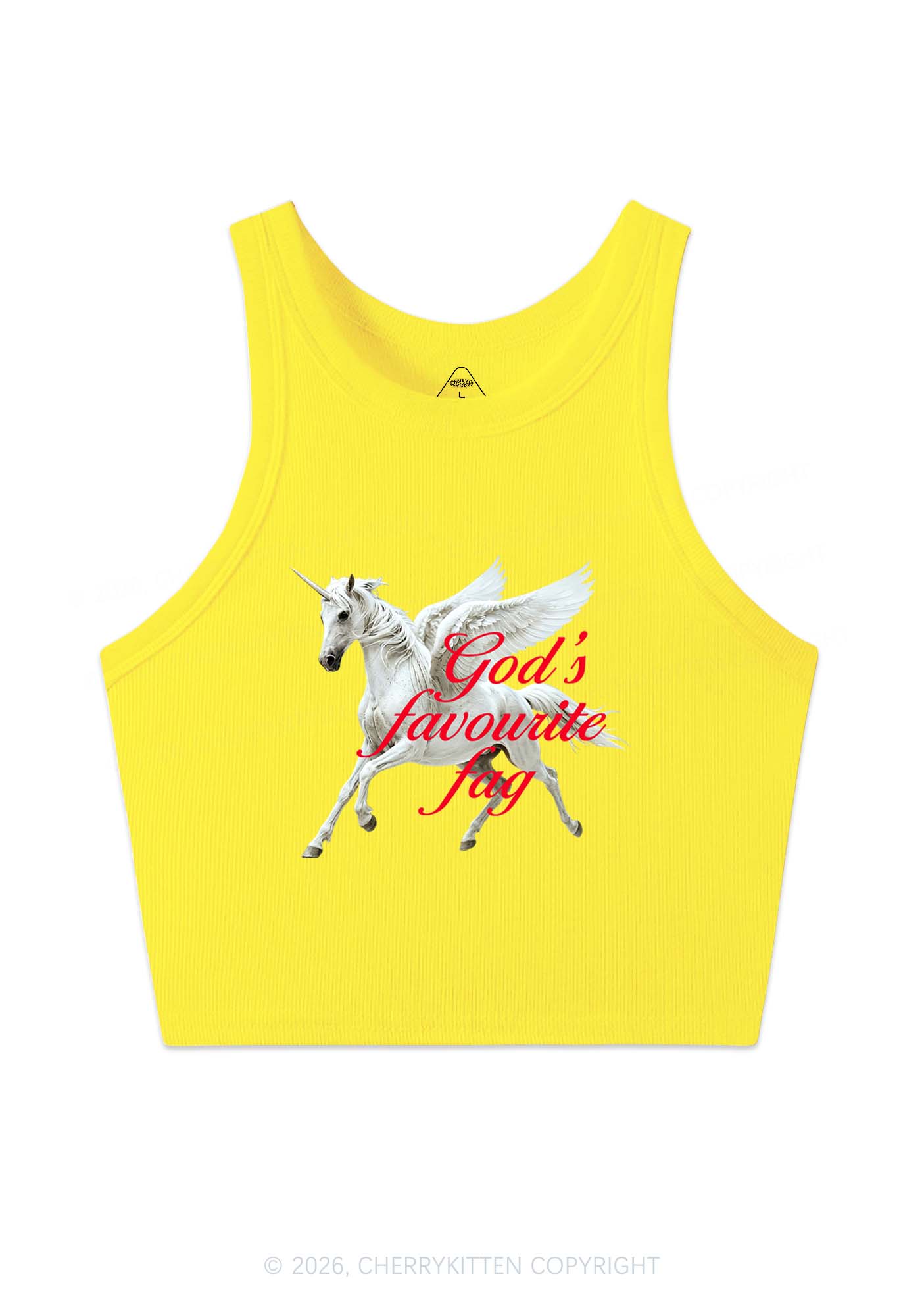Gods Favourite Fag Pride Y2K Crop Tank Top Cherrykitten