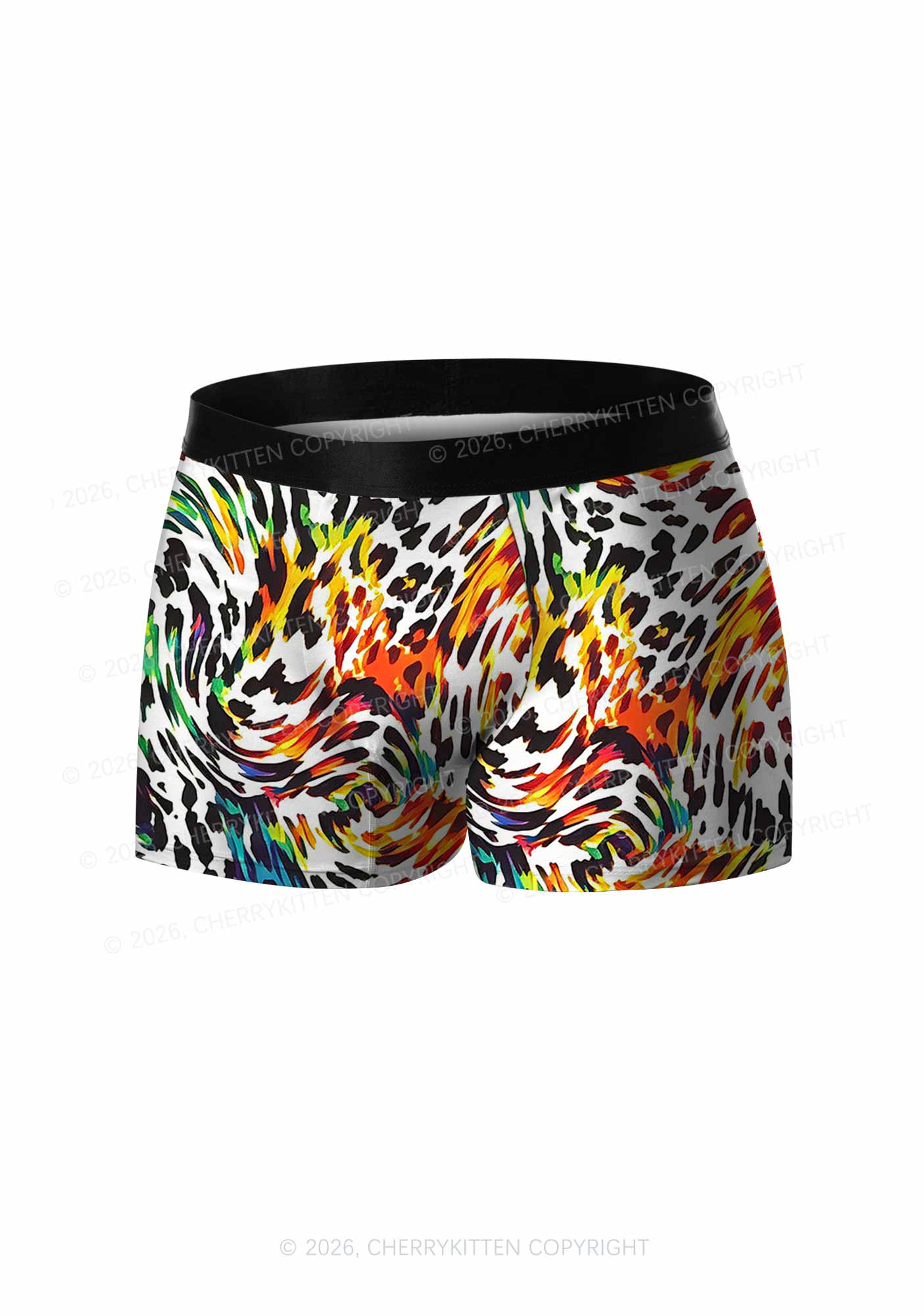 Rainbow Leopard Pride Y2K Print Men Boxer Briefs Cherrykitten