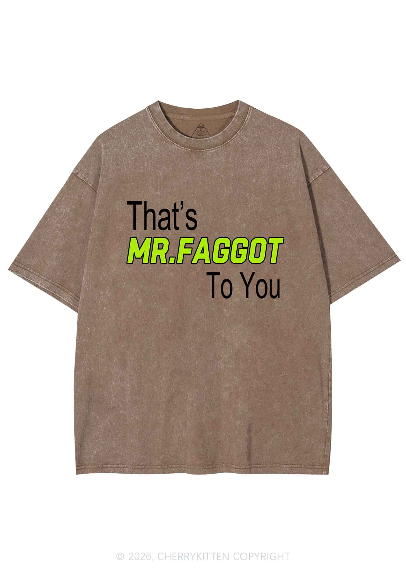 Thats Mr Faggot To You Pride Y2K Shirts Washed Tee Cherrykitten