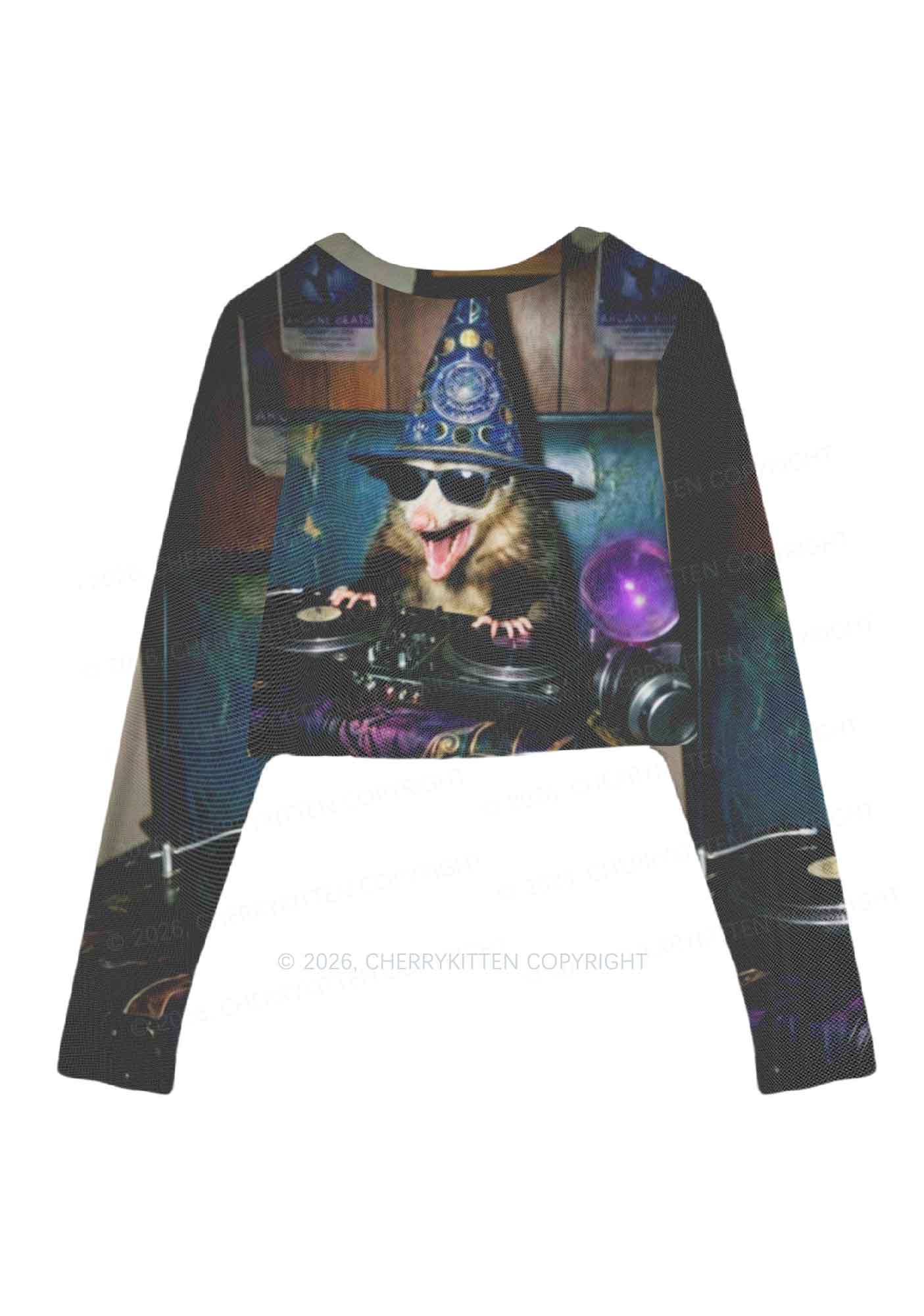 Wizard Opossum DJ Y2K Mesh Long Sleeve Crop Top Cherrykitten