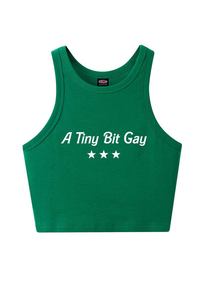 A Tiny Bit Gay Pride Y2K Crop Tank Top Cherrykitten