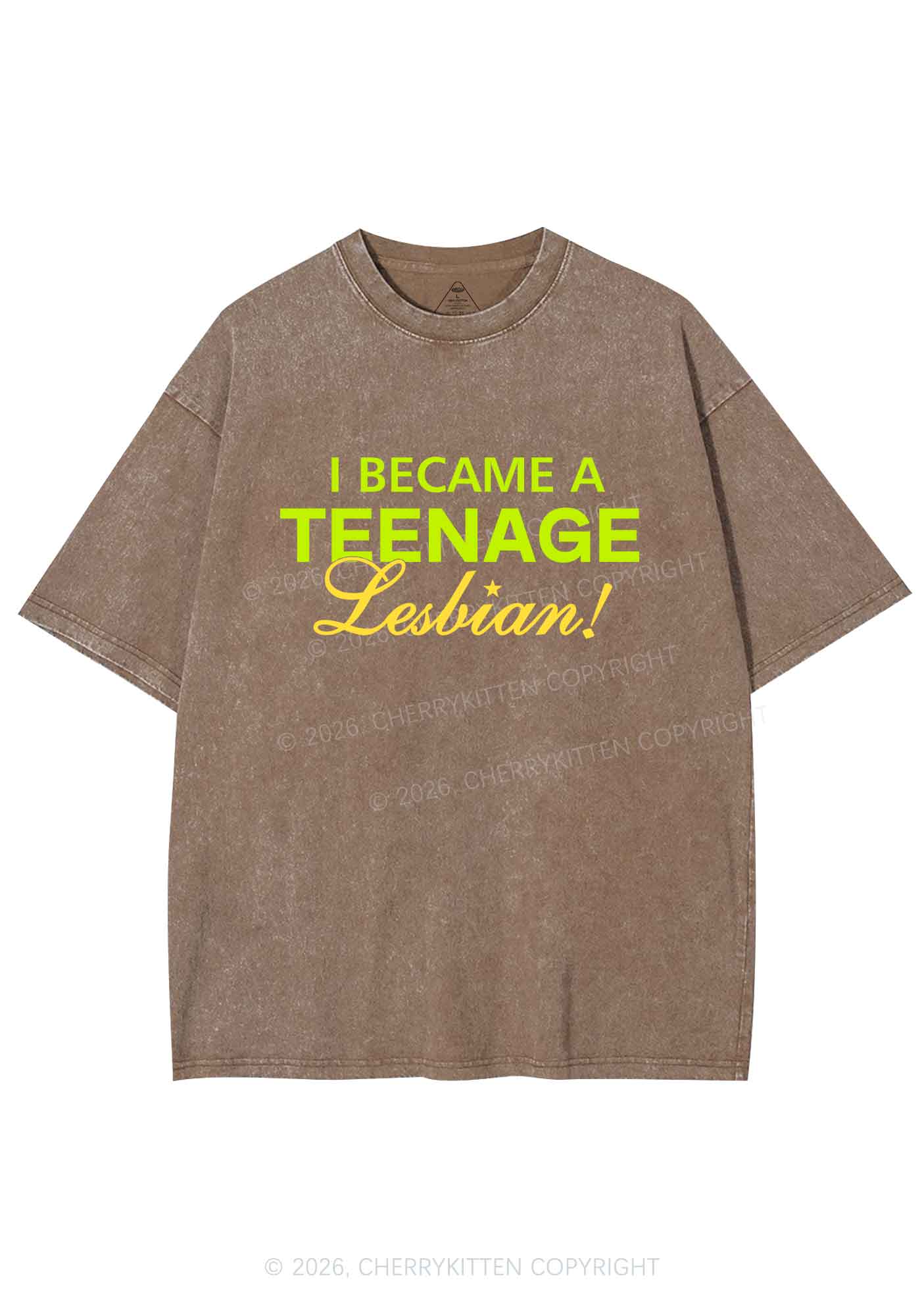 I Became A Teenage Lesbian Pride Y2K Shirts Washed Tee Cherrykitten