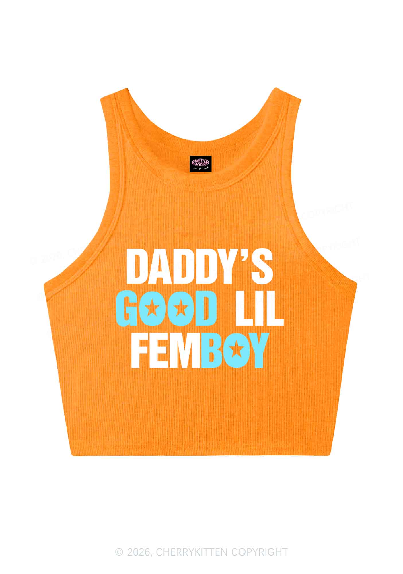 Daddys Good Lil Femboy Pride Y2K Crop Tank Top Cherrykitten