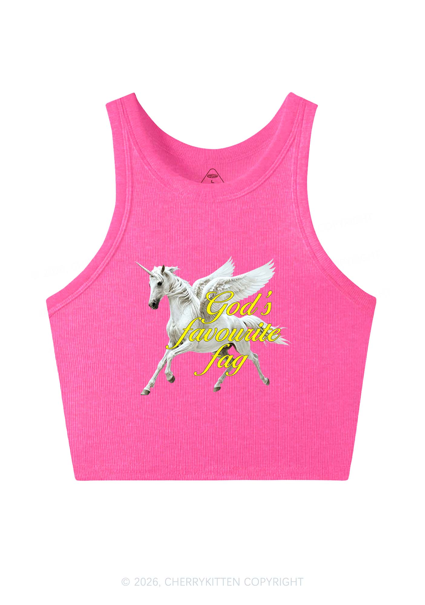 Gods Favourite Fag Pride Y2K Crop Tank Top Cherrykitten