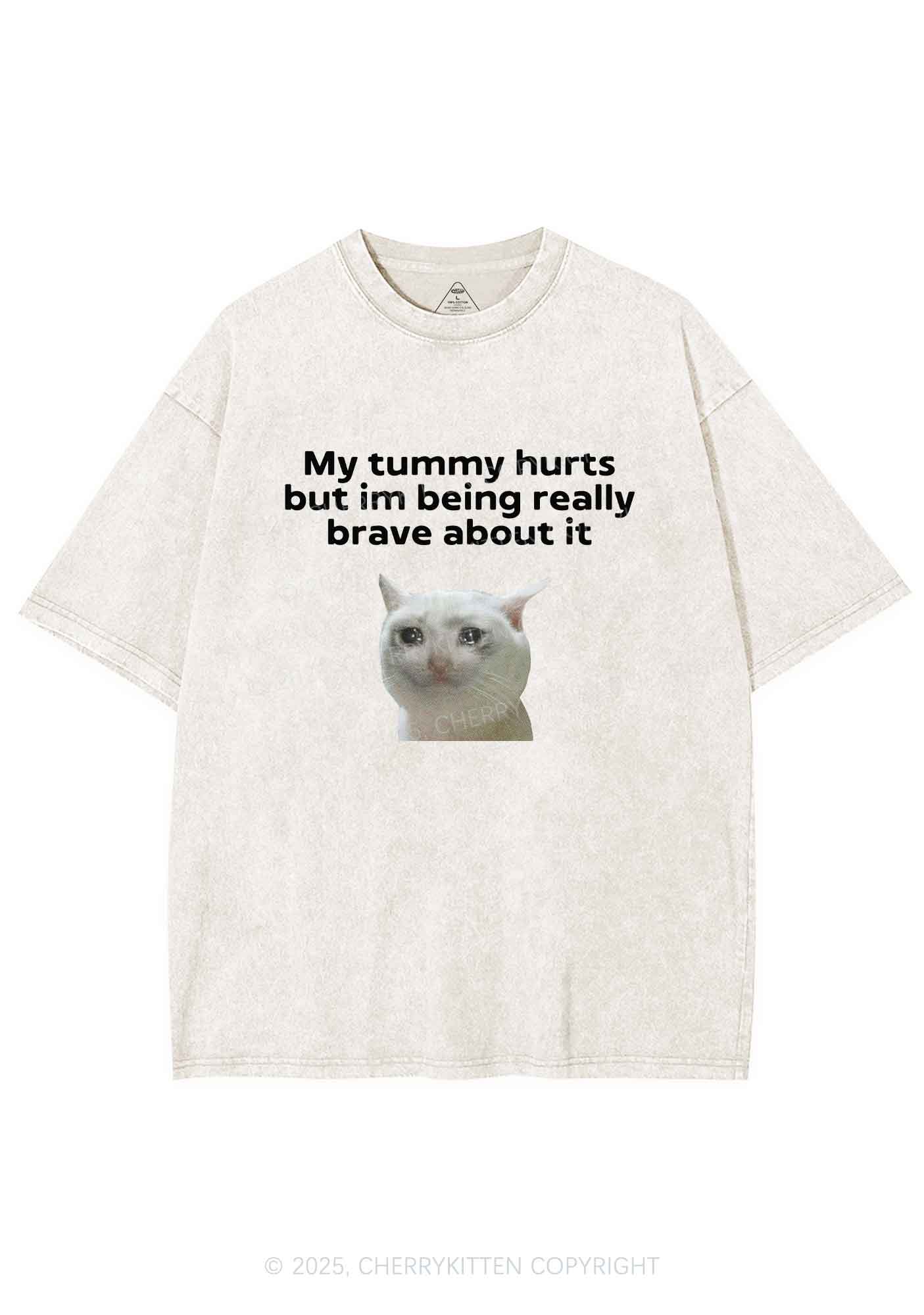 Cat Tummy Hurts Y2K Shirts Washed Tee Cherrykitten