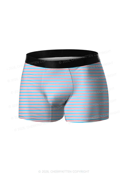 Trans Stripes Pride Y2K Print Men Boxer Briefs Cherrykitten