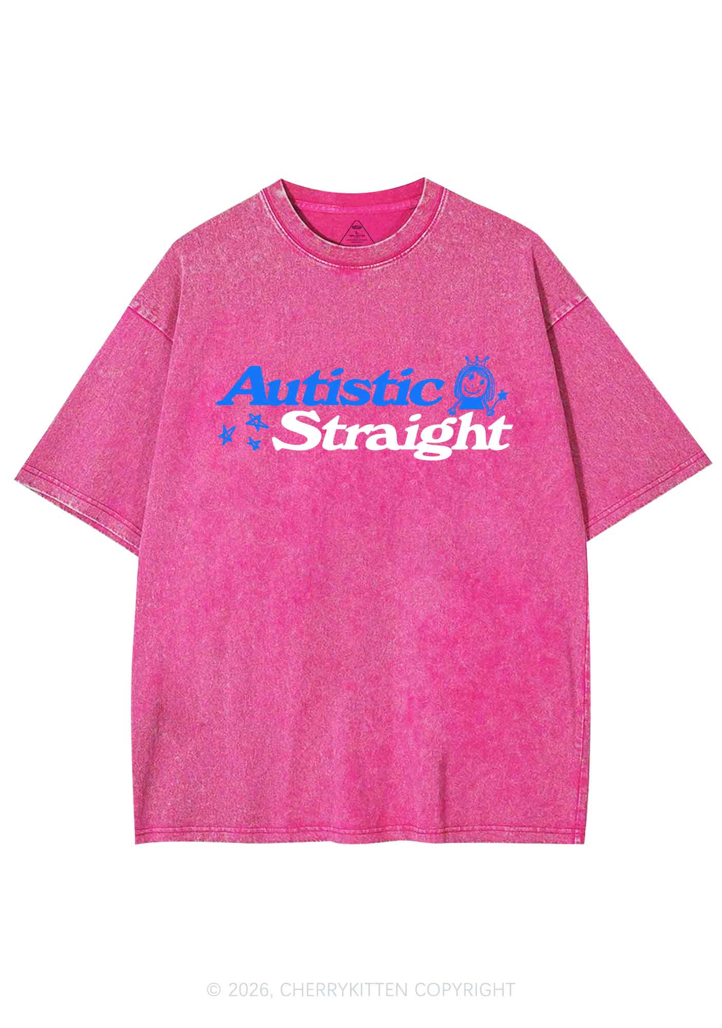 Autistic Straight Pride Y2K Shirts Washed Tee Cherrykitten