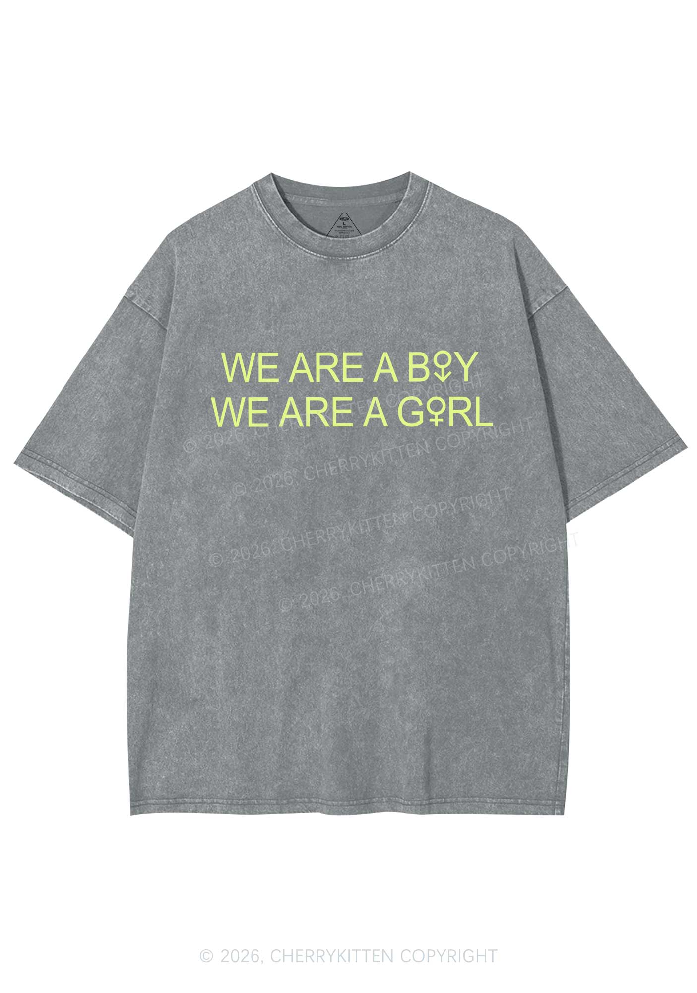 We Are A Boy Pride Y2K Shirts Washed Tee Cherrykitten