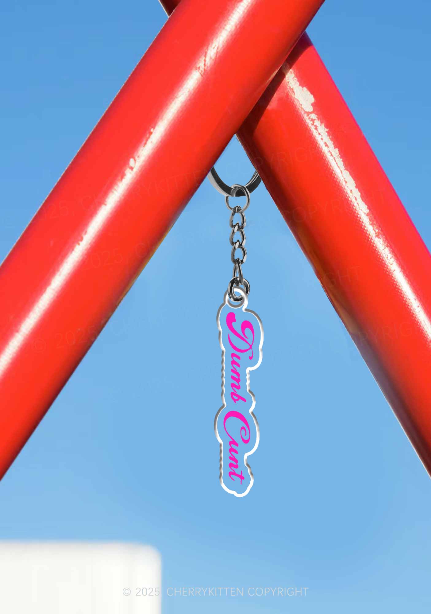Dumb Cxxt 1Pc Y2K Keychain Cherrykitten
