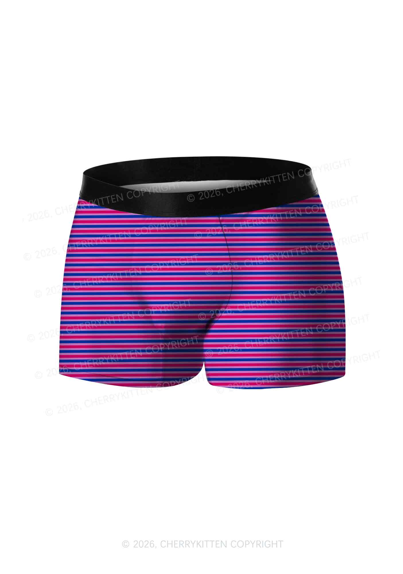 Bisexual Stripes Pride Y2K Print Men Boxer Briefs Cherrykitten