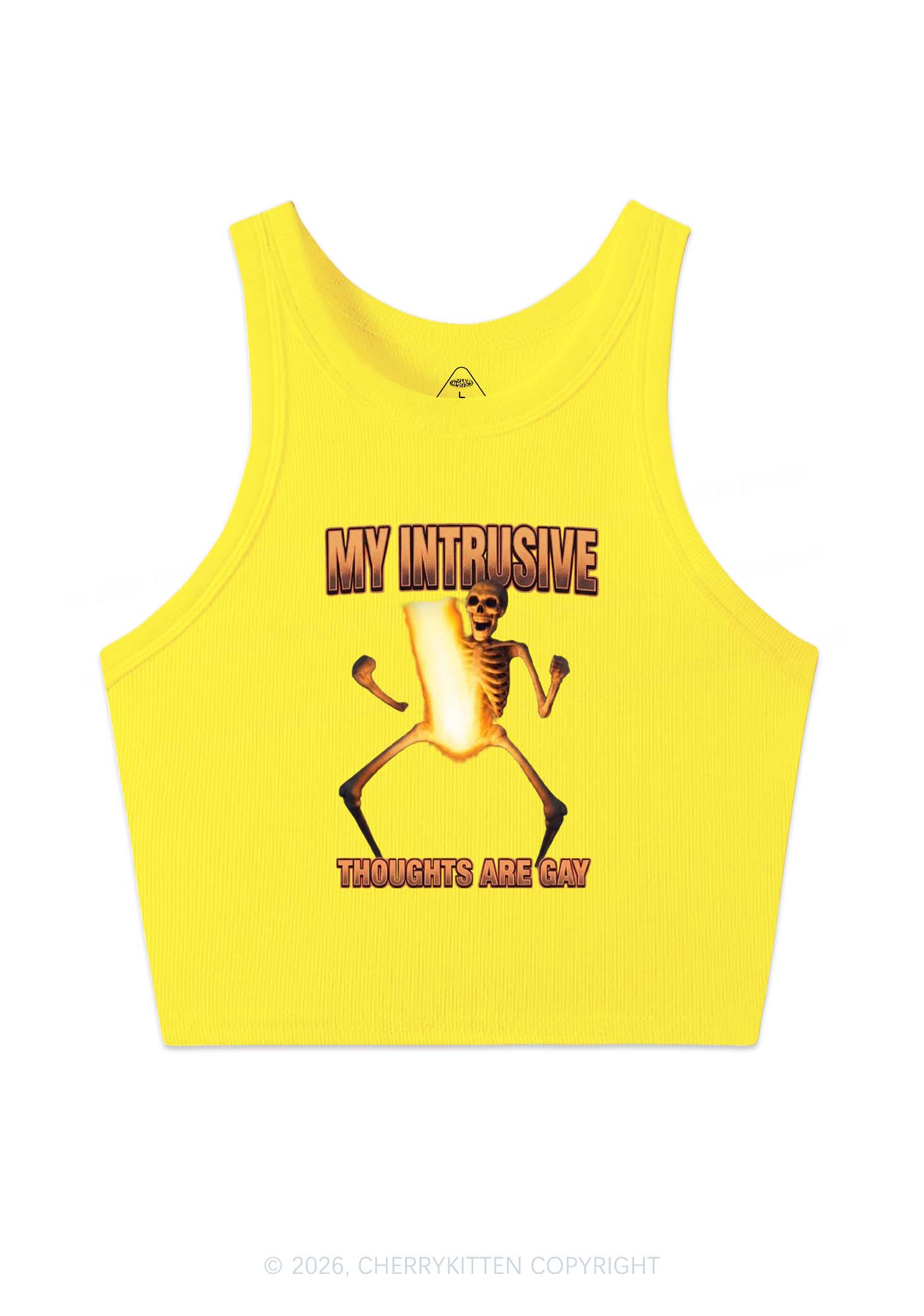 My Intrusive Thoughts Are Gay Pride Y2K Crop Tank Top Cherrykitten