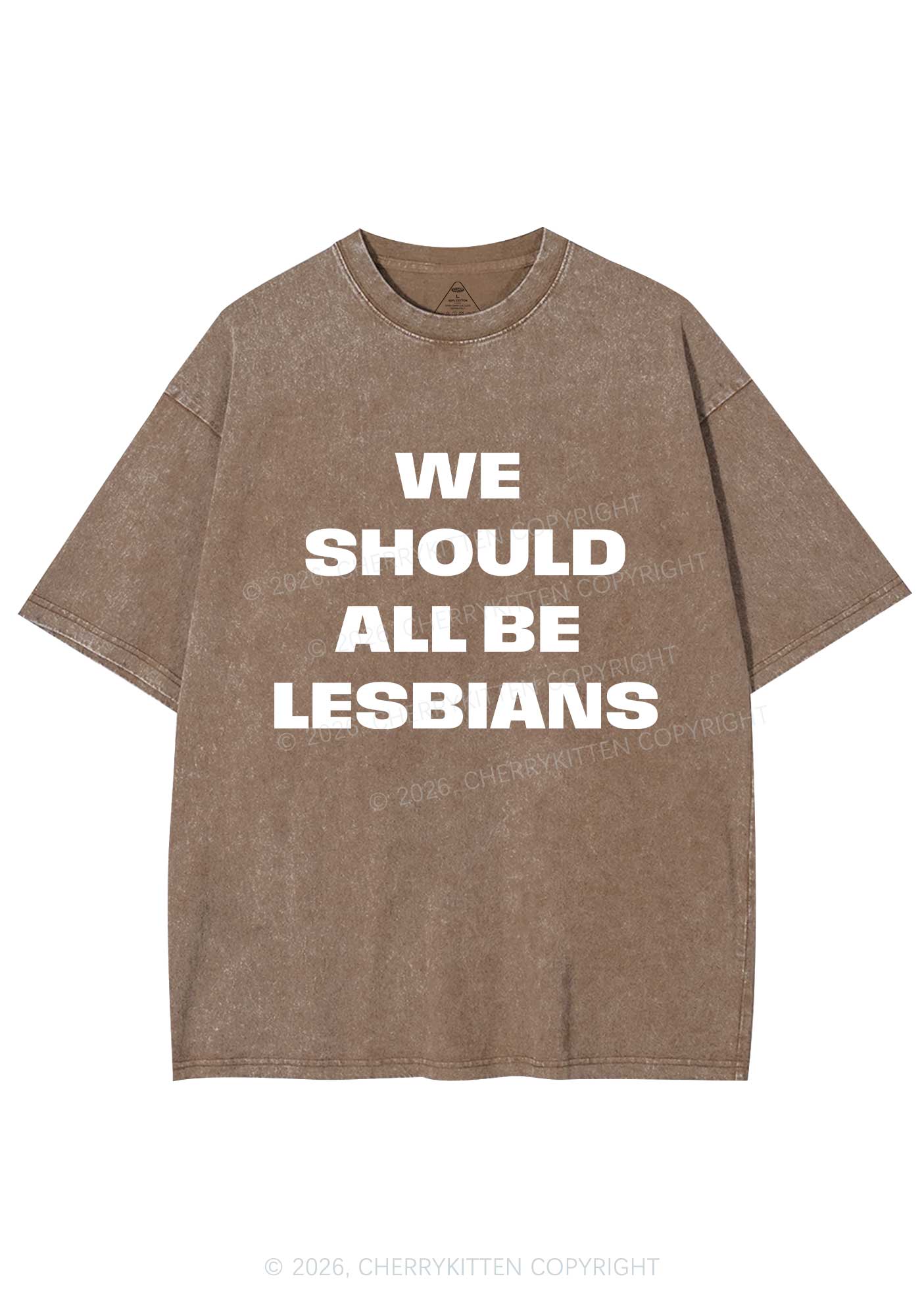 We Should All Be Lesbians Pride Y2K Shirts Washed Tee Cherrykitten