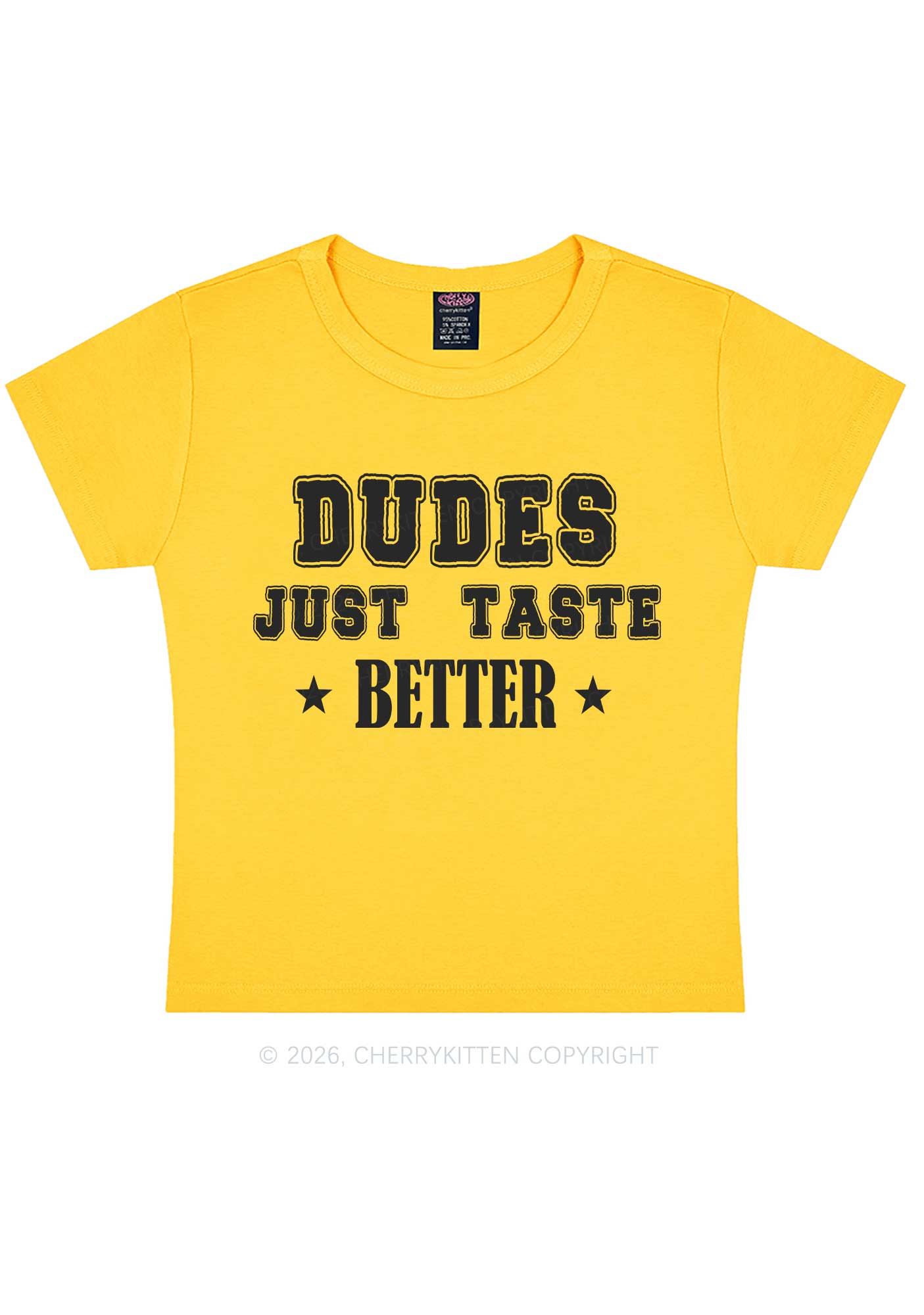 Dudes Just Taste Better Pride Y2K Baby Tee Cherrykitten