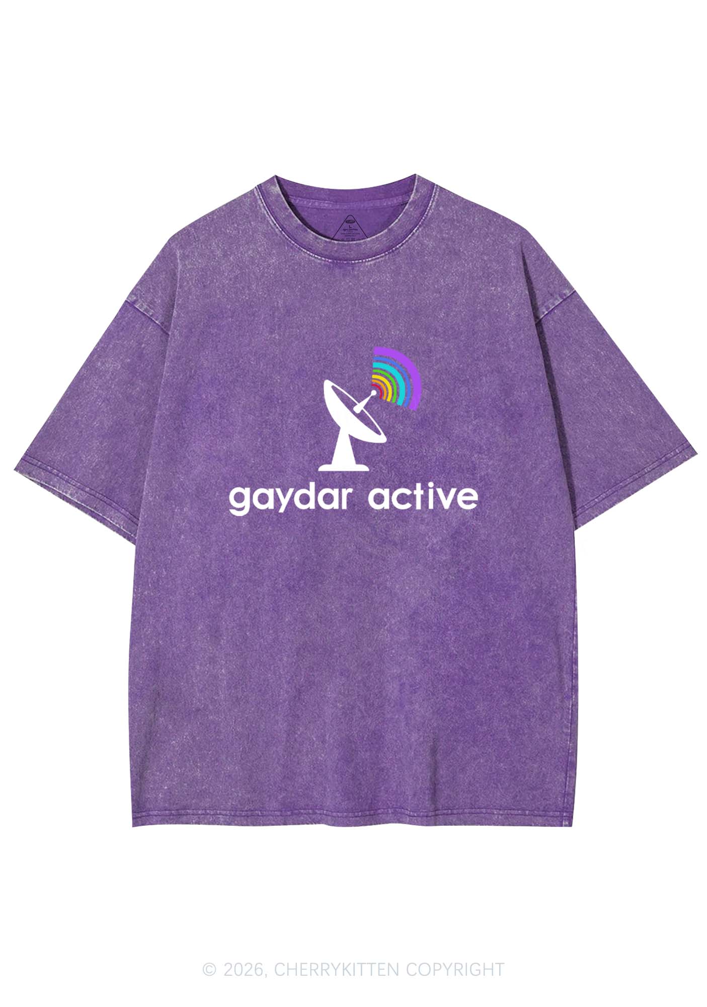 Gaydar Active Pride Y2K Shirts Washed Tee Cherrykitten