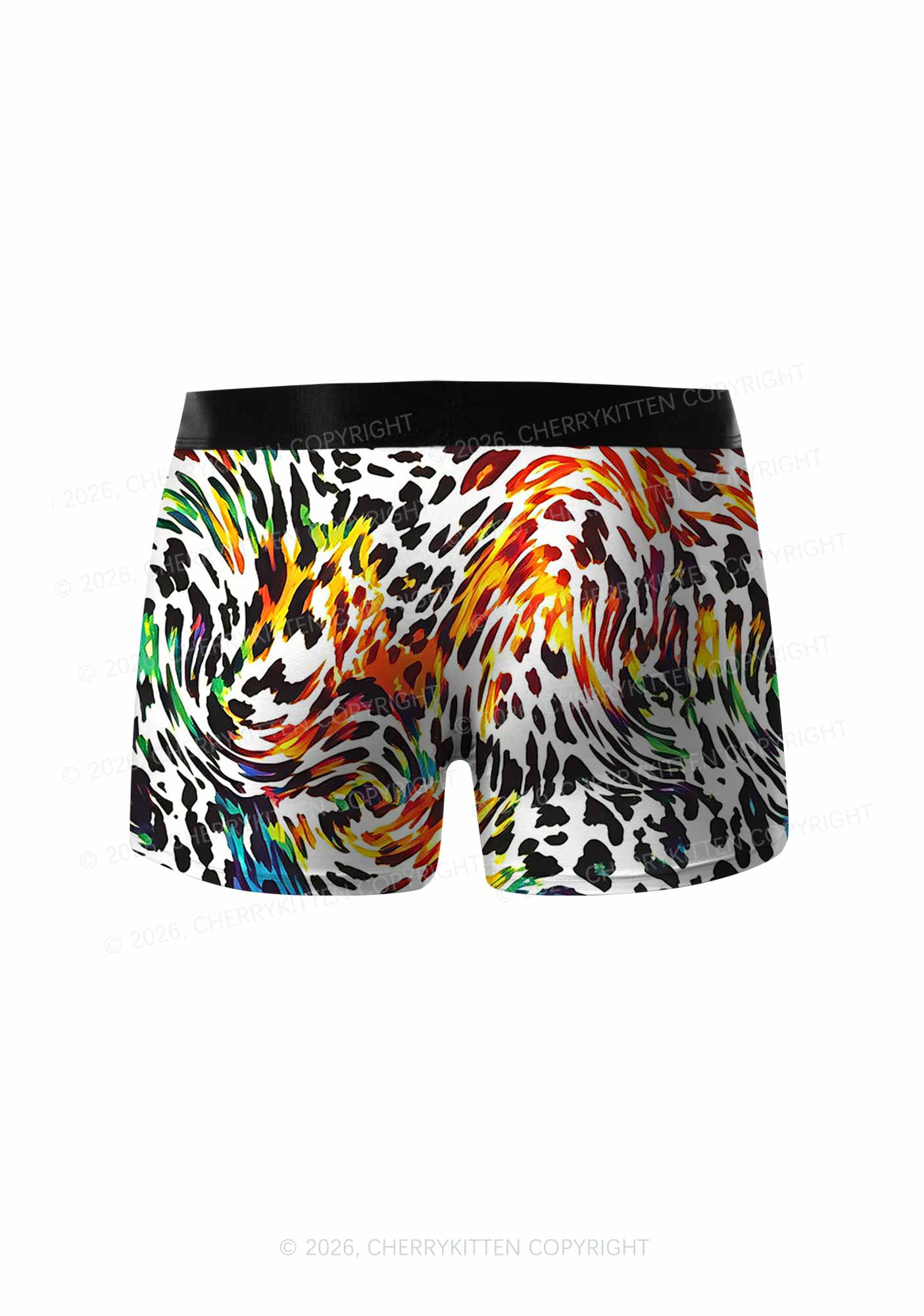 Rainbow Leopard Pride Y2K Print Men Boxer Briefs Cherrykitten