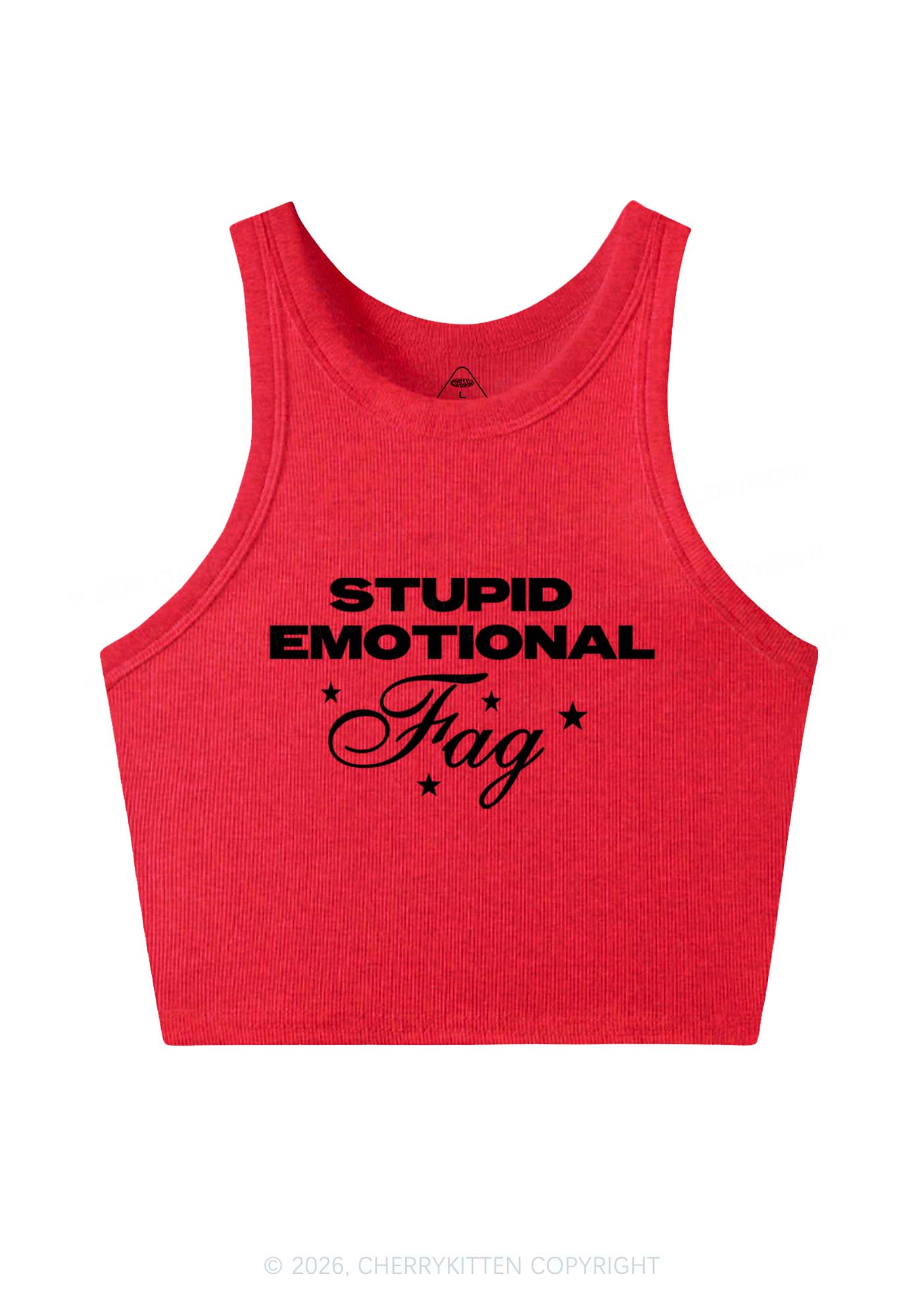 Stupid Emotional Fag Pride Y2K Crop Tank Top Cherrykitten