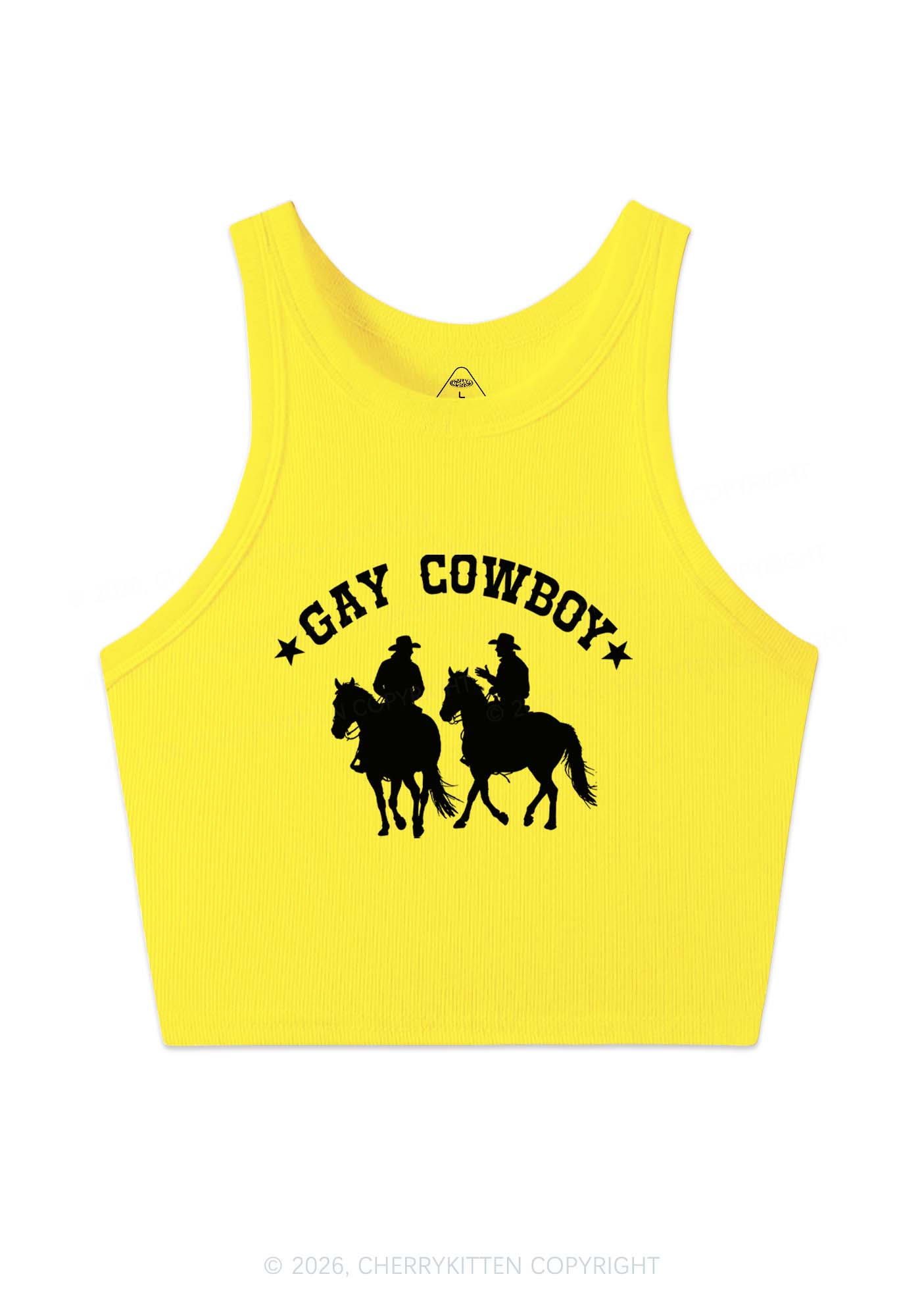 Gay Cowboy Pride Y2K Crop Tank Top Cherrykitten