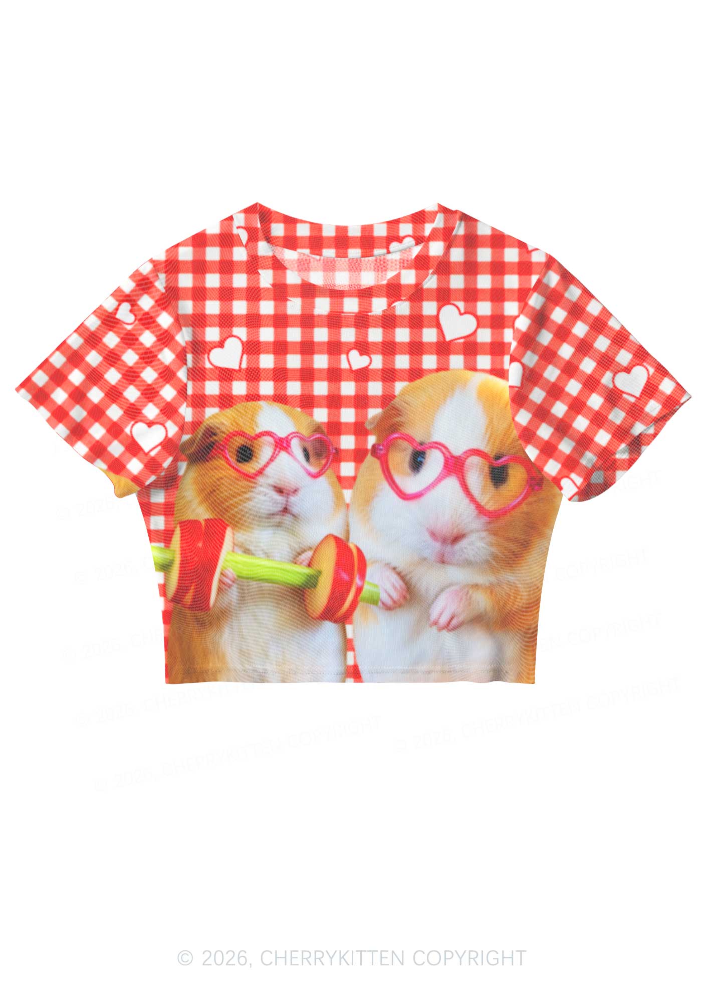 Two Guinea Pigs Y2K Mesh Crop Top Cherrykitten