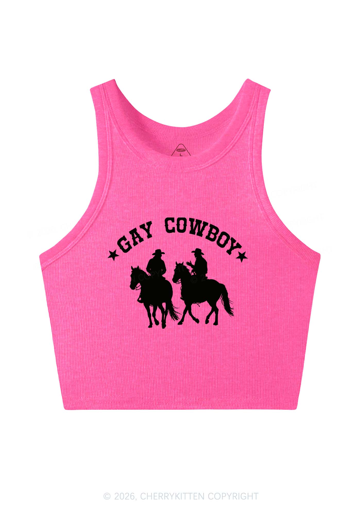 Gay Cowboy Pride Y2K Crop Tank Top Cherrykitten