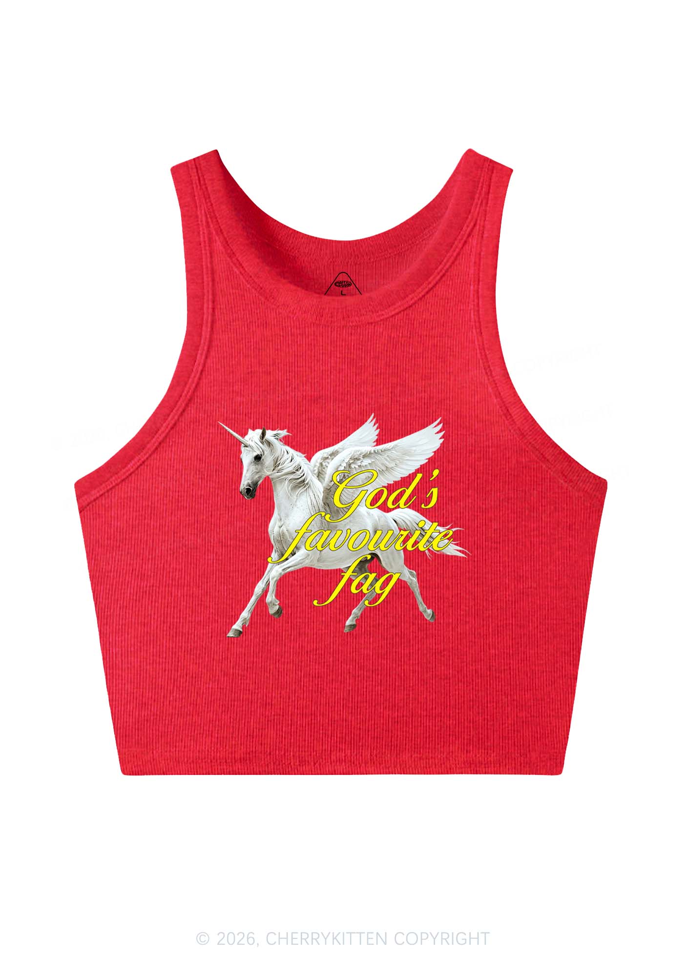 Gods Favourite Fag Pride Y2K Crop Tank Top Cherrykitten